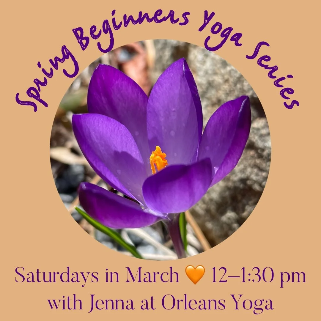 I look so forward to this offering every year! And it&rsquo;s just the thing to shake off winter. We&rsquo;ll cover the basics of yoga philosophy, foundational asanas (postures), breath work, and meditation. And a discounted Orleans Yoga membership i