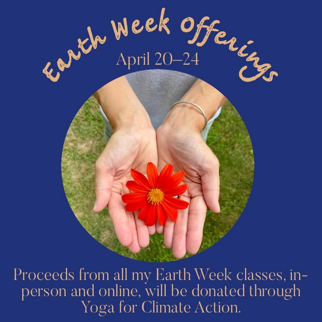 Practice is good for all beings 🌏 Roll out your mat for any of these classes and do a little extra good this week:
~Monday &bull; 4:15&ndash;5:15 pm Orleans
~Tuesday &bull; 9:15&ndash;10:30 am Orleans
~Tuesday &bull; 4:30&ndash;5:30 pm Chatham
~Frid