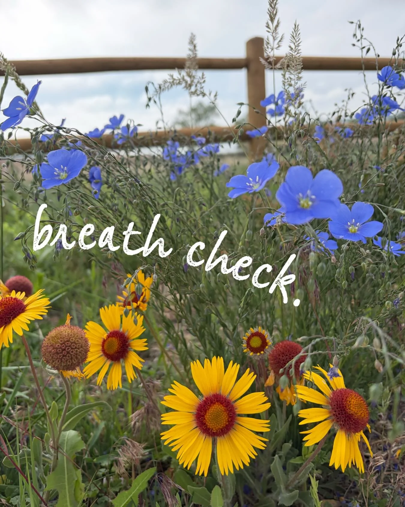 Listen to the sound of breath in your body.

Breathe in. Breathe out. We take over 23,000 breaths each day, each one of us. How many of those do we actually pay attention to...or even notice at all? Checking in with the breath is a way to &ldquo;pres