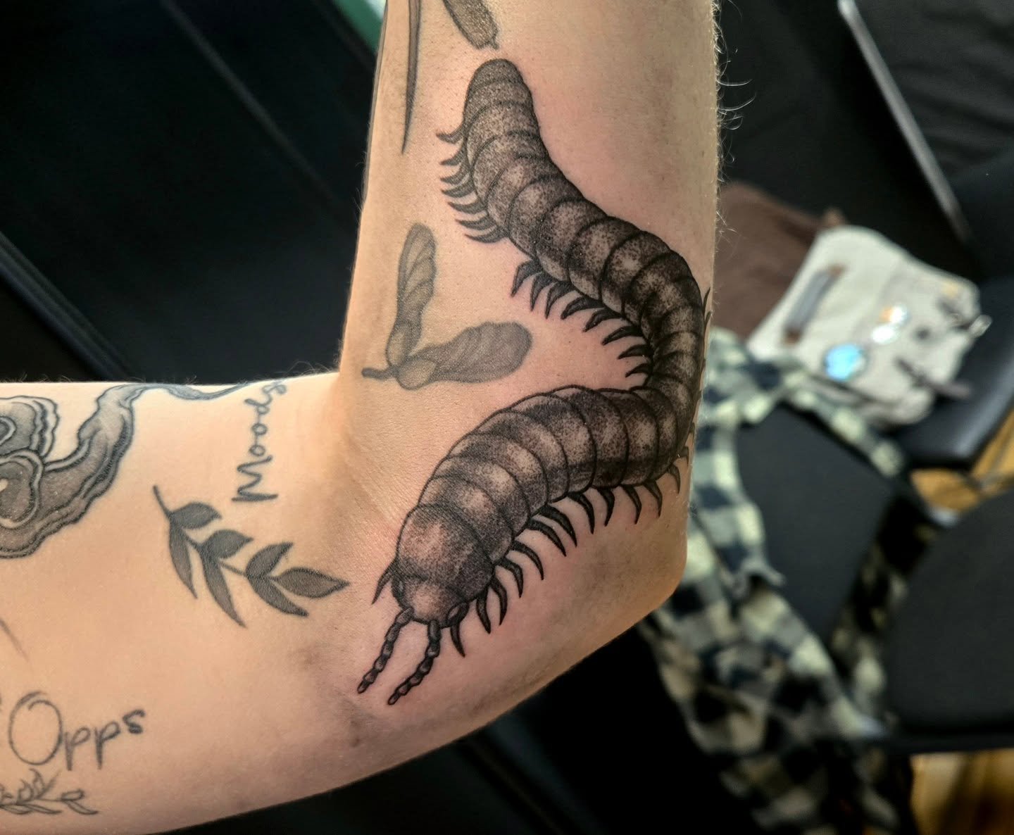 I dropped posting again because -we hates it-. 
Also I SWEAR I do more than bugs. Stay tuned for Not Bugs posts soon 😭 

  It's simultaneously been October for 13 years, as well as every day I'm scrambling to fit everything in that I do. 

  This mo