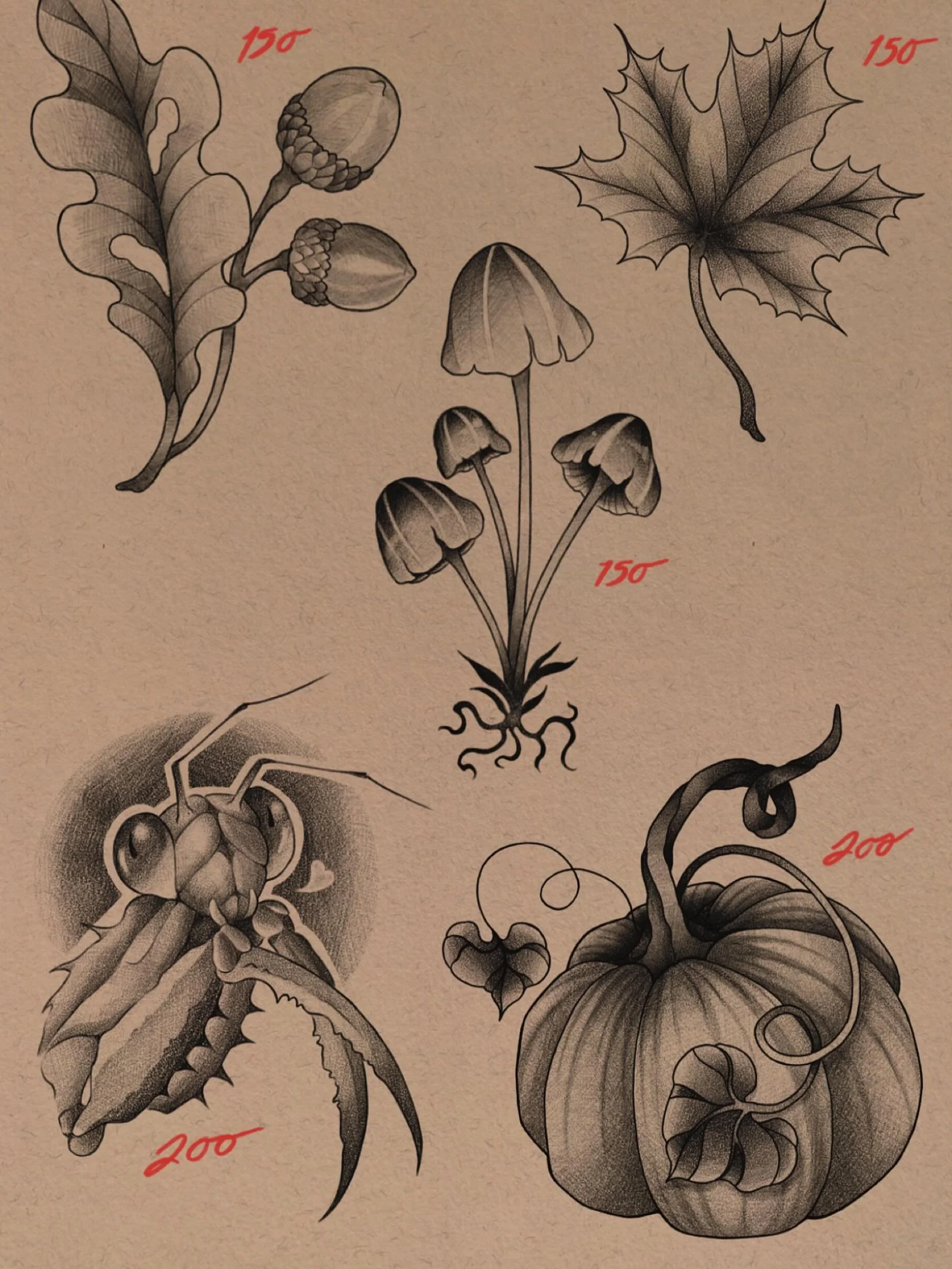 Flash page 2 of the season, you already know how to inquire ✨