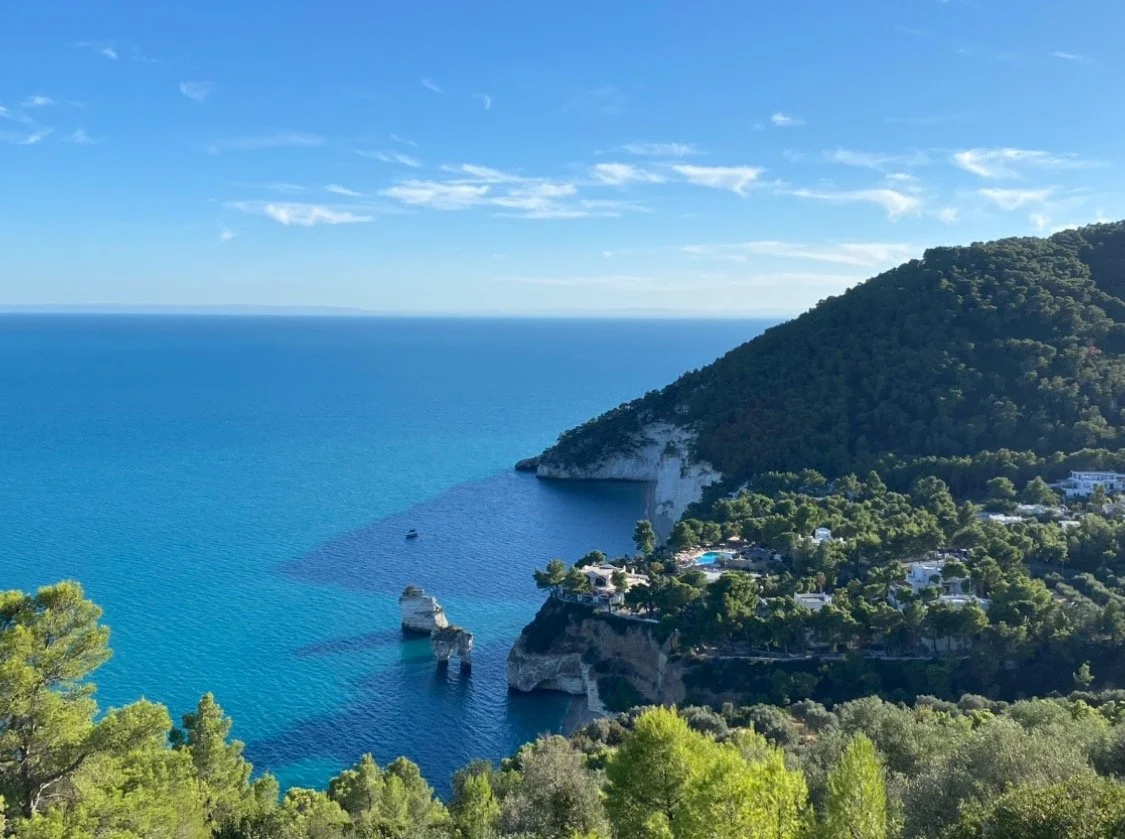 View recent photos 2.jpeg