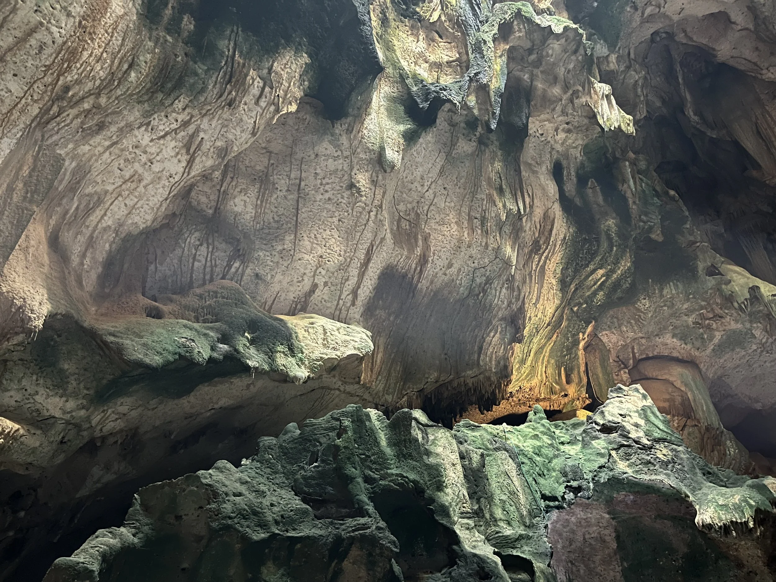 Managing the Tension Between Formation and Mission