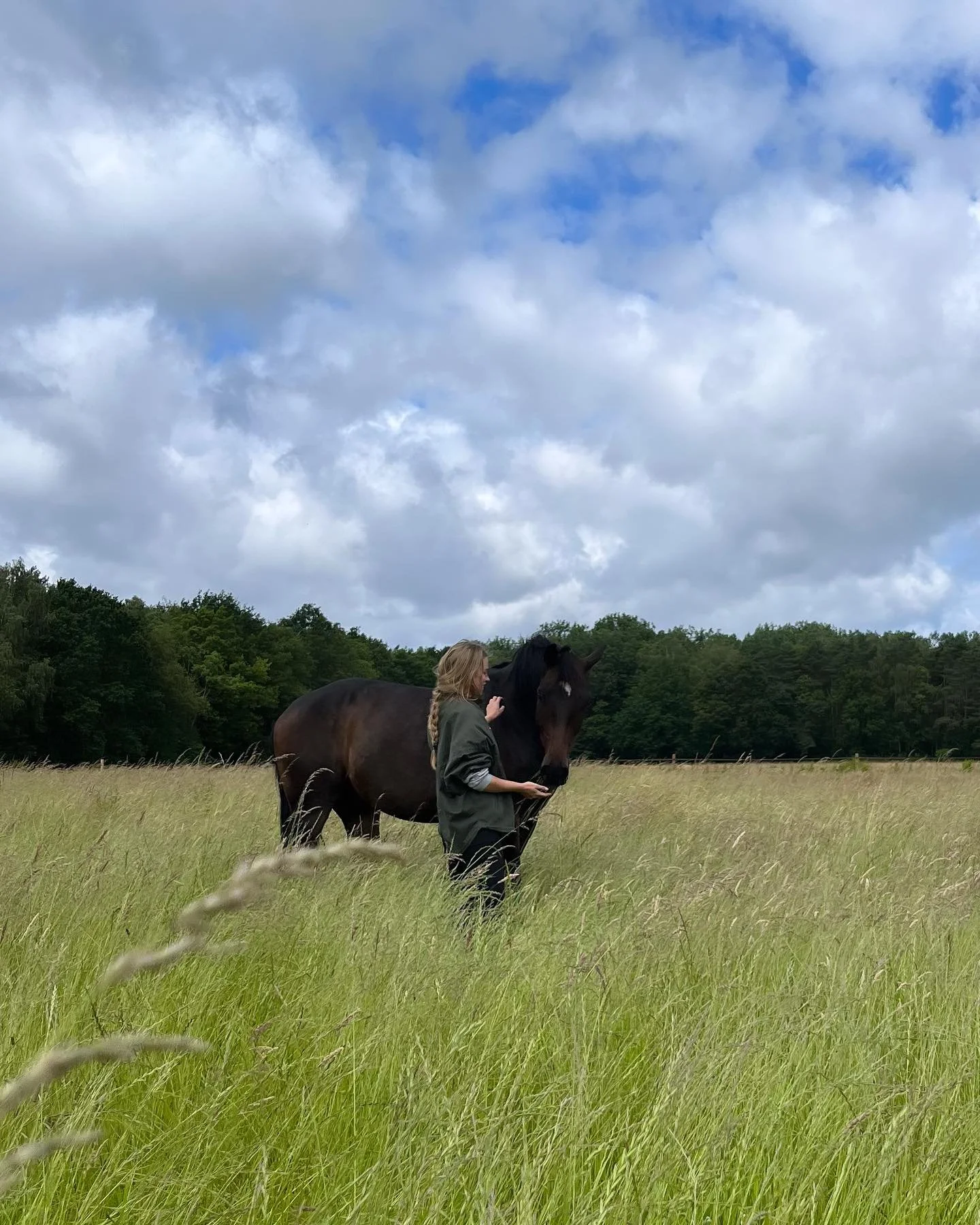 🌾🤍🐴