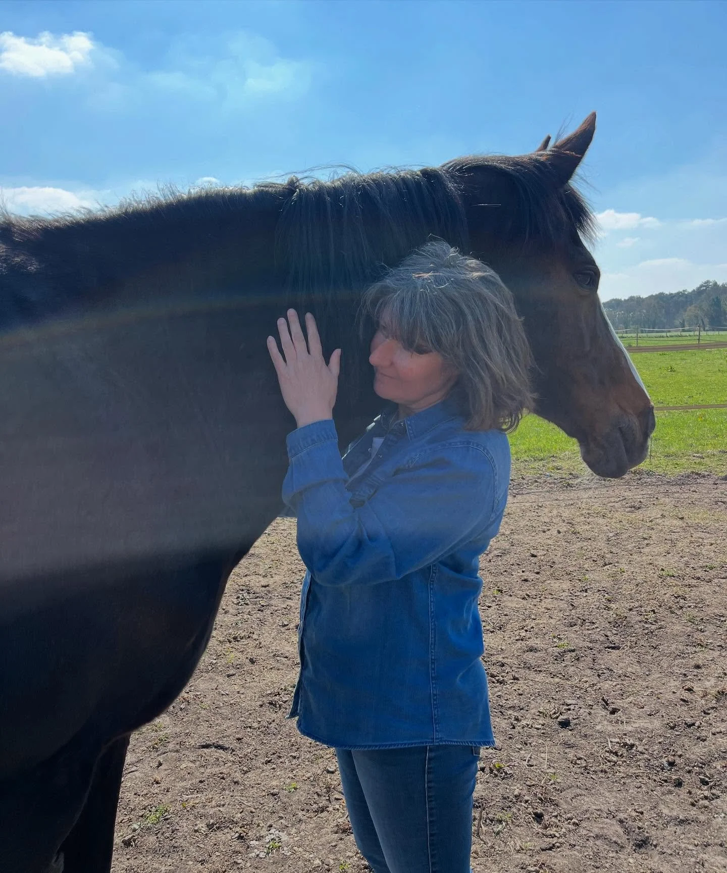Paarden knuffelen na de ochtendverzorging