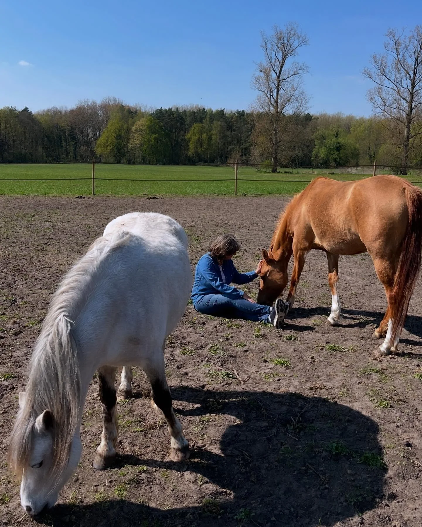 Dorien met Raïa & Twinkel na de verzorging op zondag