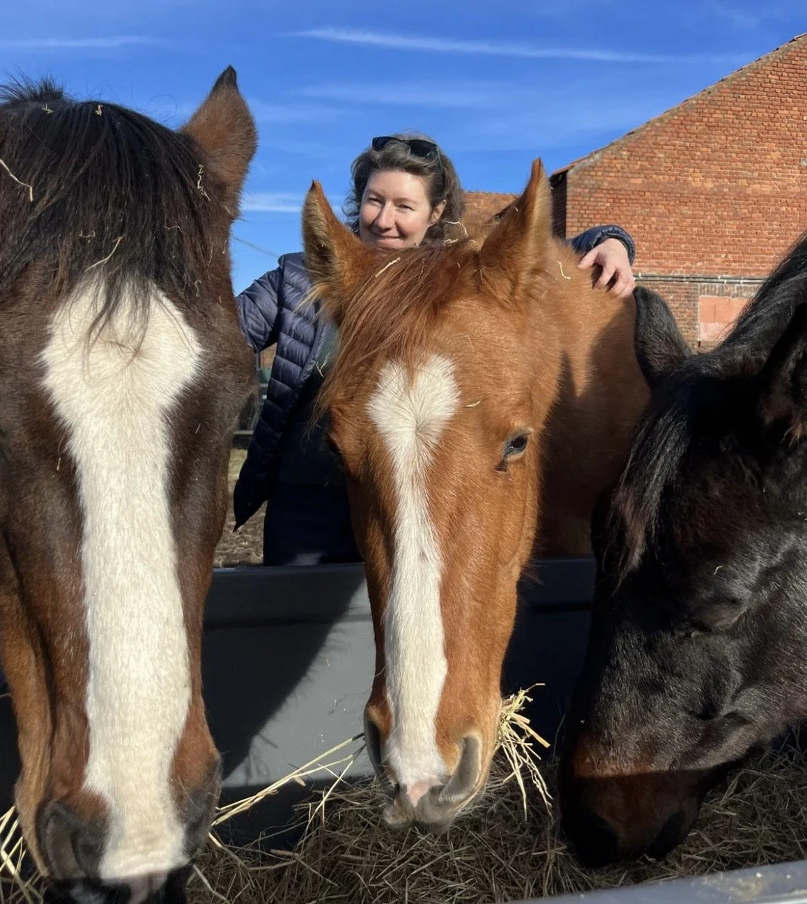 Paarden verzorgen is TOF