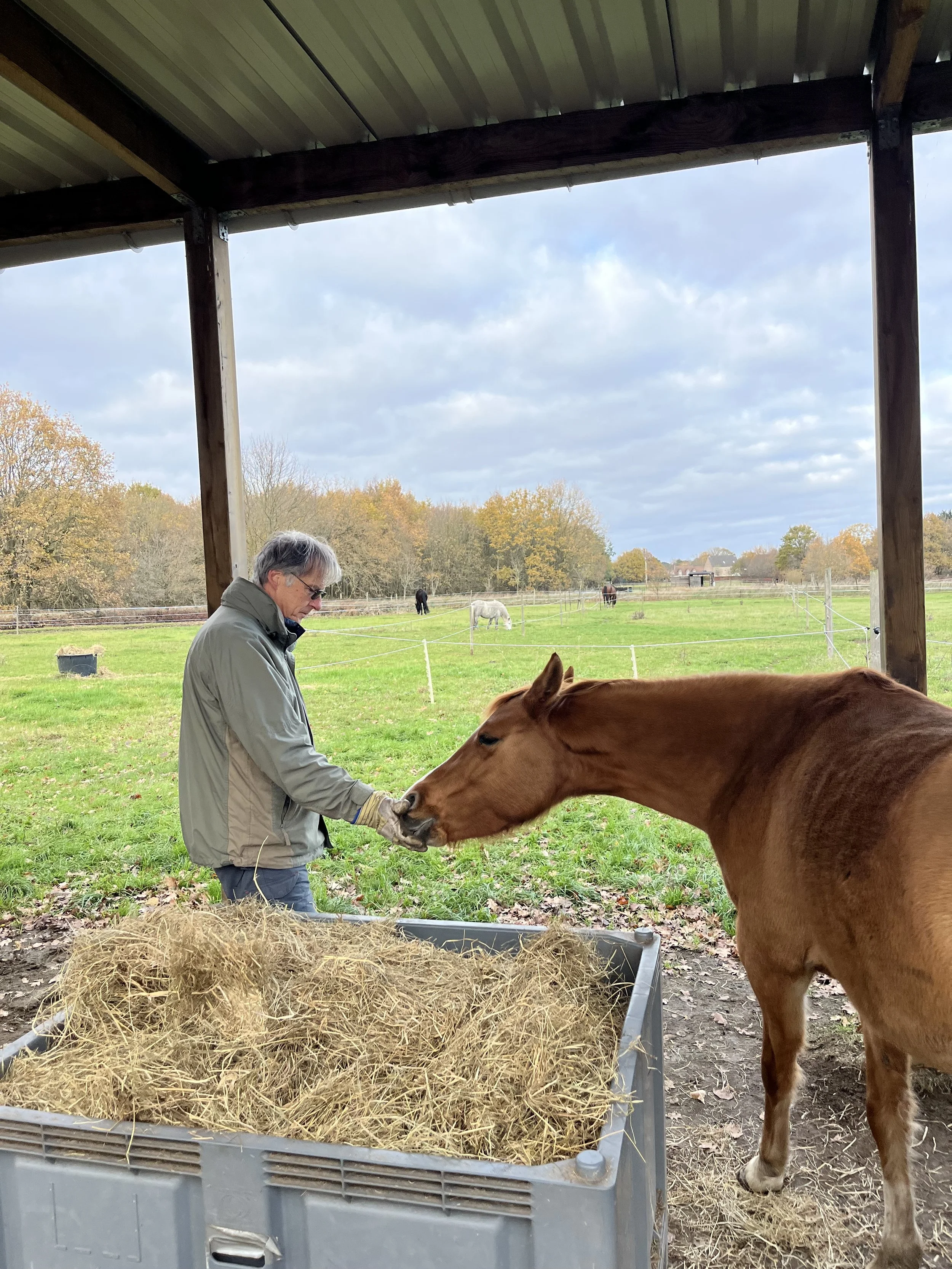 Guy & Raïa. Net verhuisd naar onze nieuwe weide! 