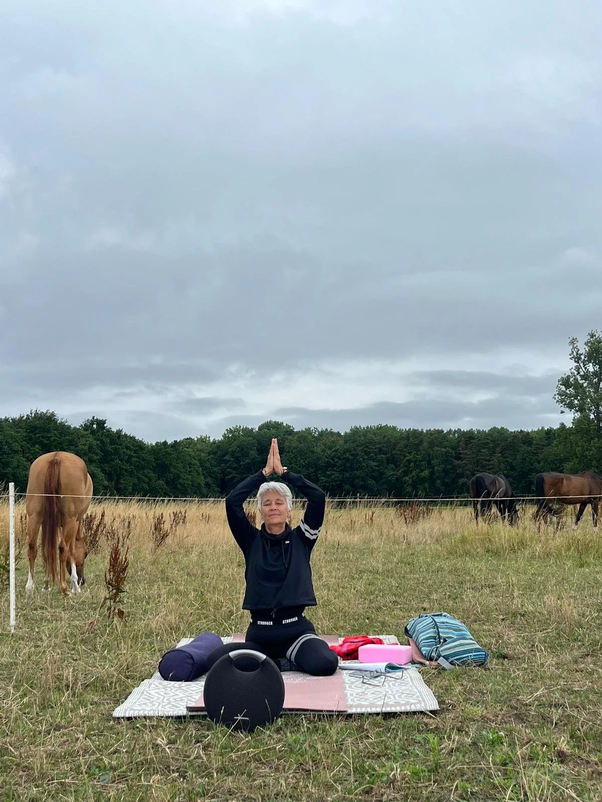 Yin yoga tussen de paarden met Genevieve
