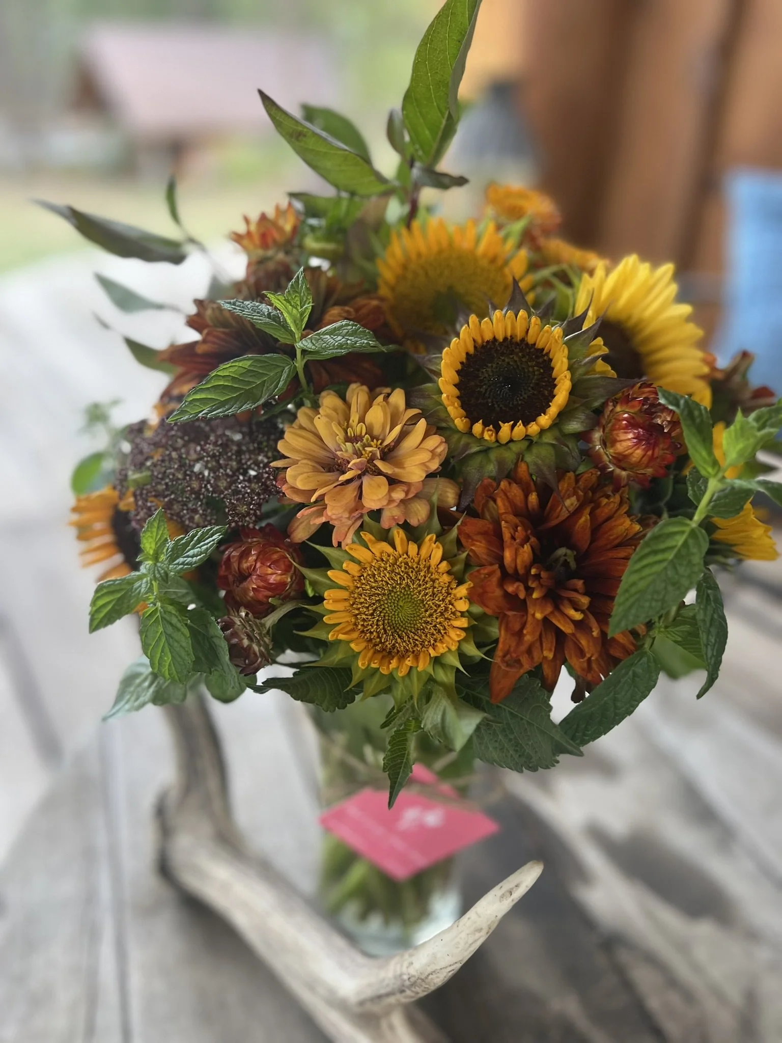 Professional Business Subscription