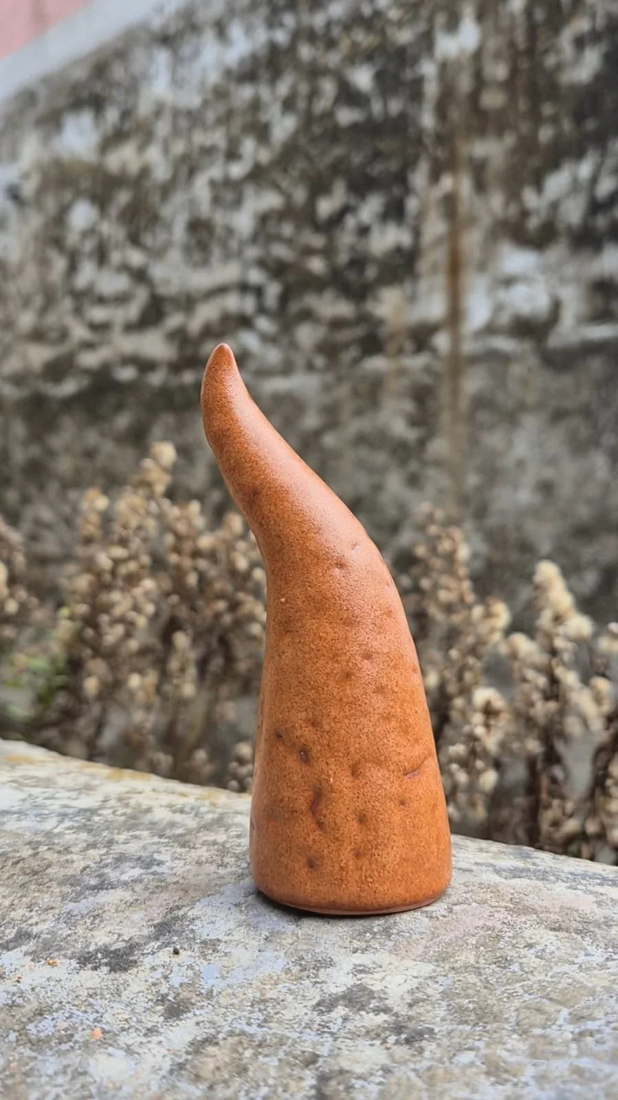 WhatsApp Image 2025-11-22 at 16.32.37.jpeg