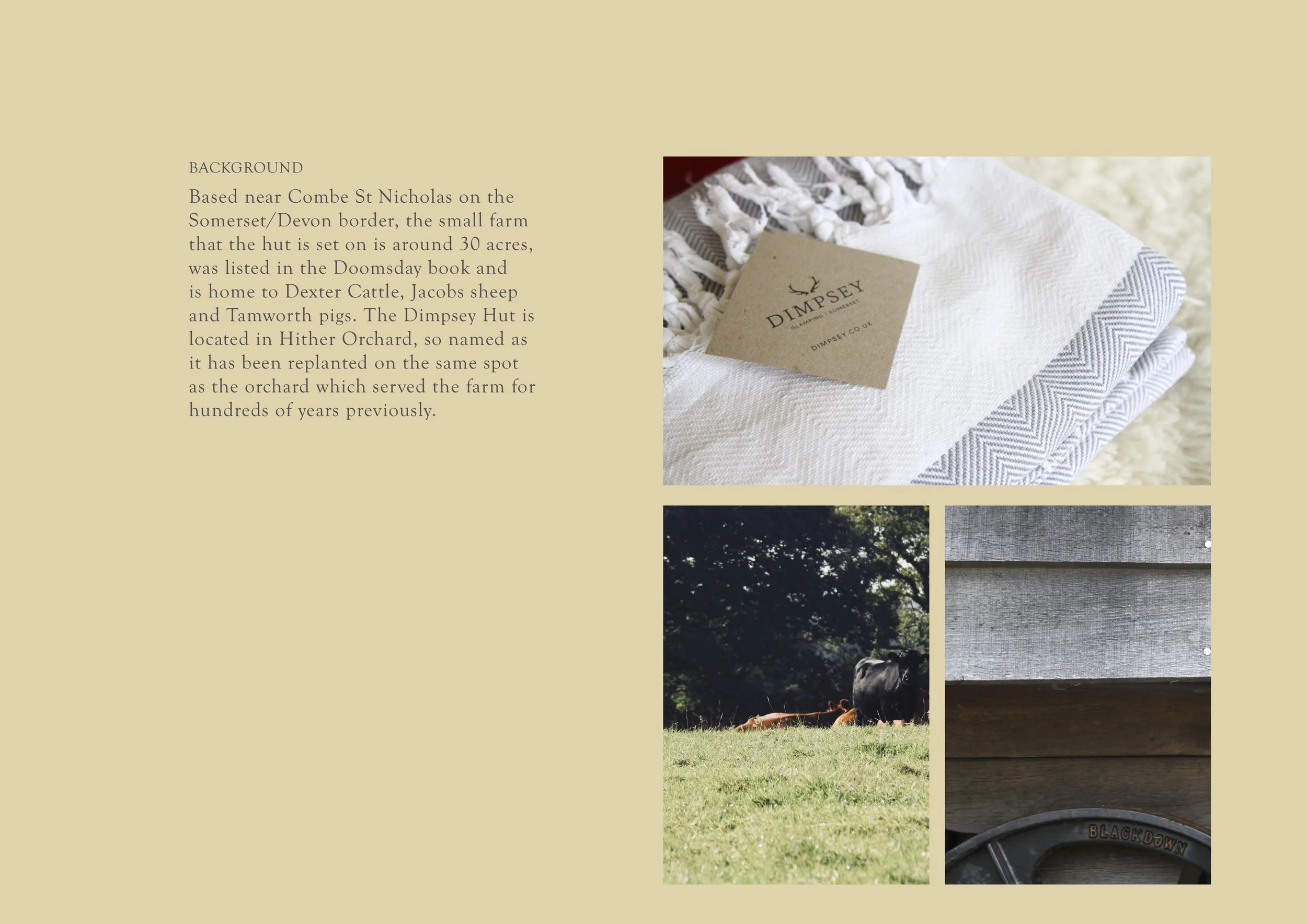 Max Johnson - Graphic Design Portfolio 19.jpg