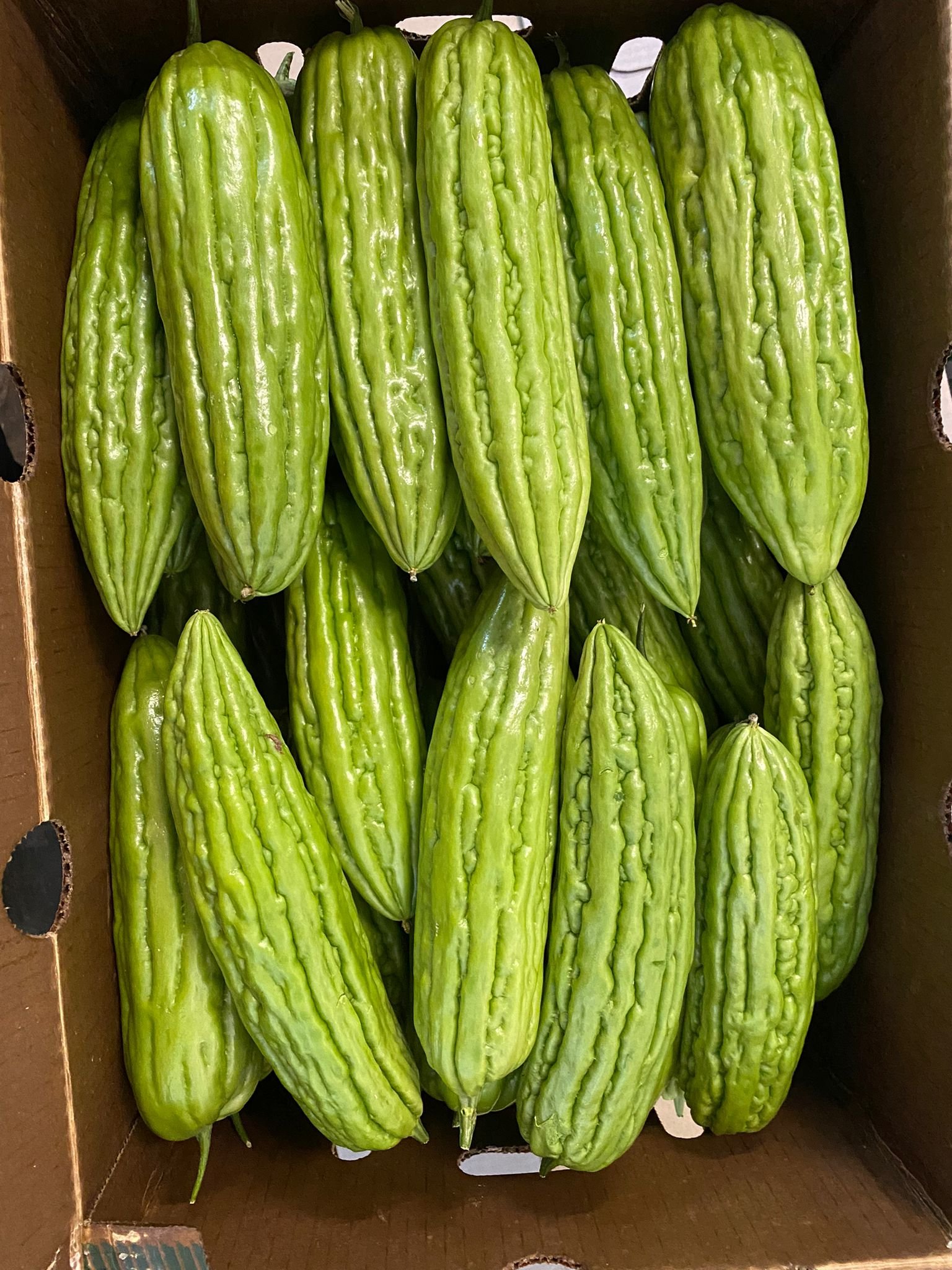 BITTERMELON - CHINESE