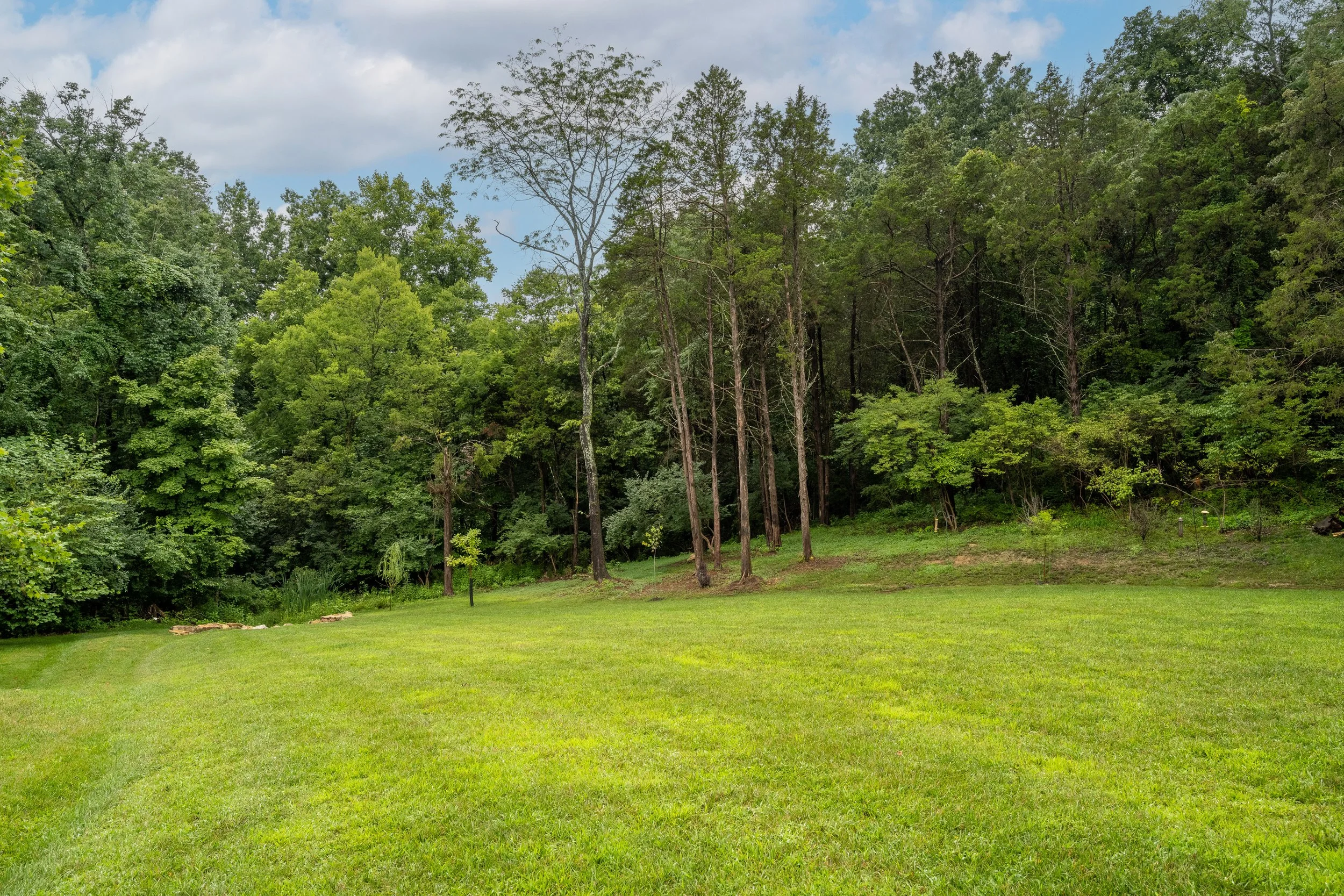 7504 Beechspring Farm Blvd_highres-66.jpg