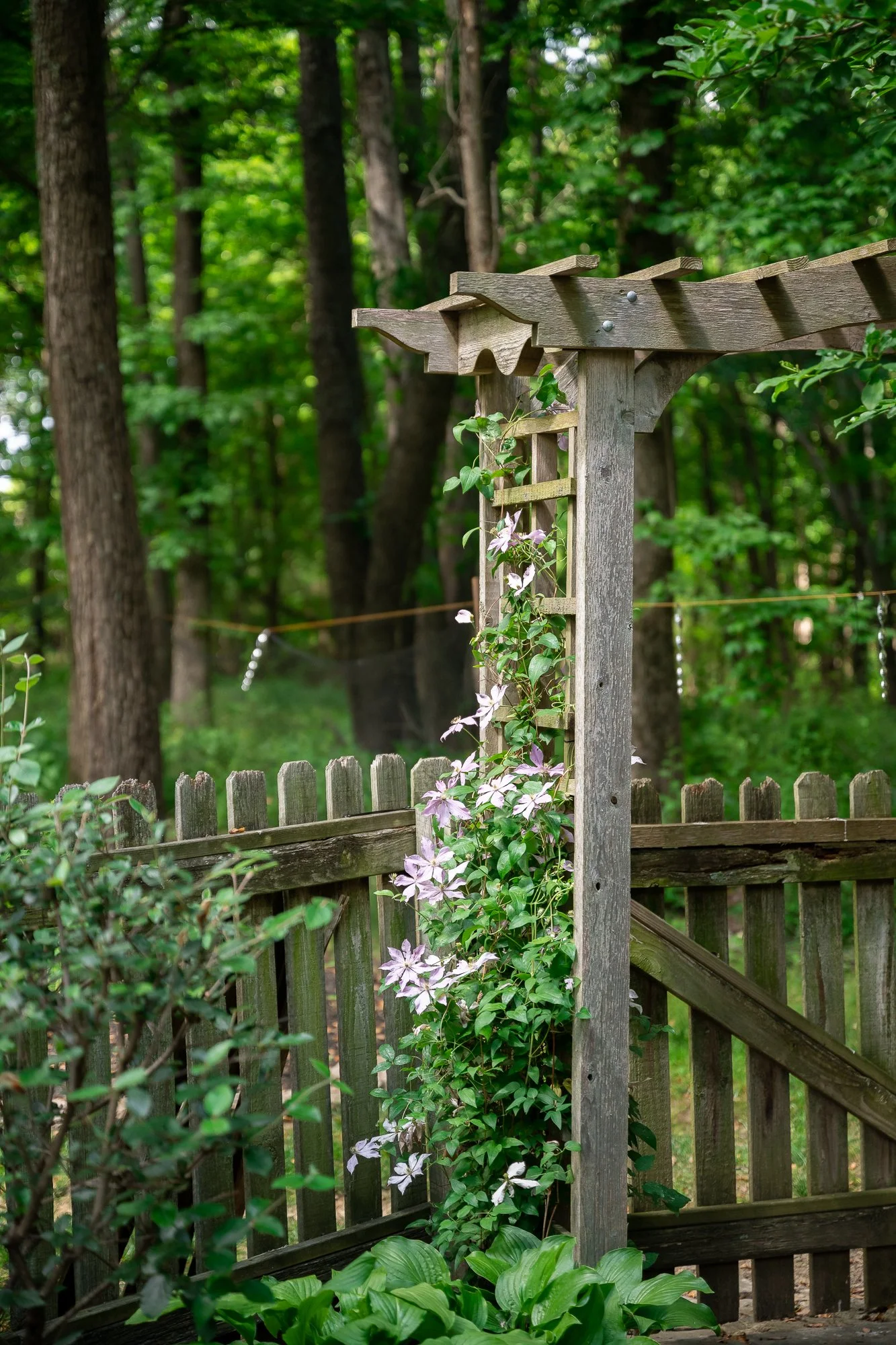 2701 Cave Spring Pl_web-54.jpg