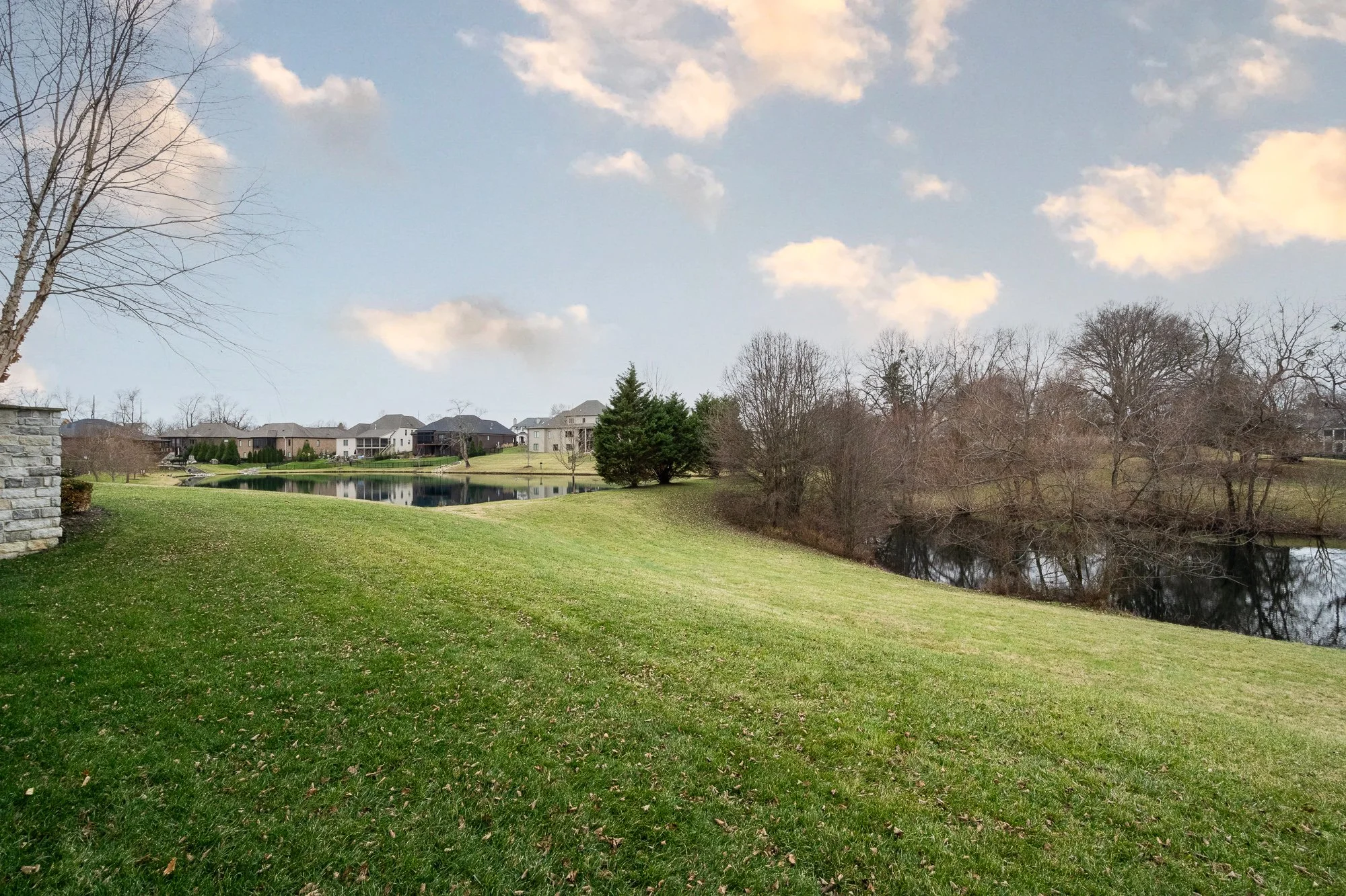 8222 Spring Glade Pl_web-88.jpg