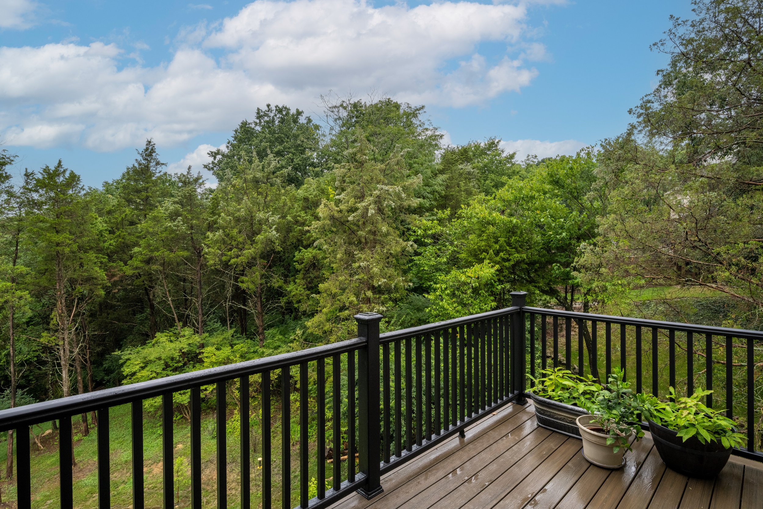 7504 Beechspring Farm Blvd_highres-59.jpg