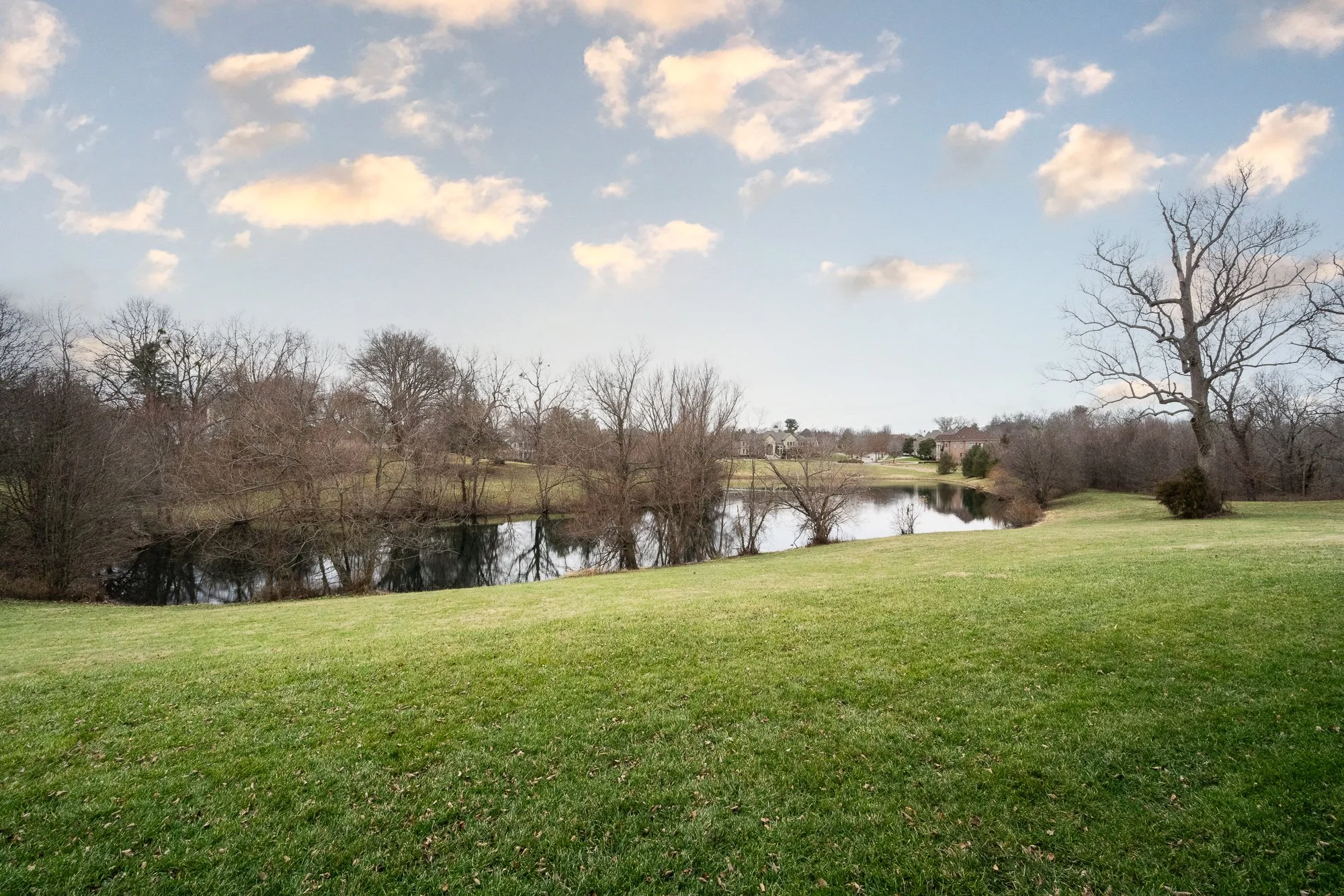 8222 Spring Glade Pl_web-89.jpg