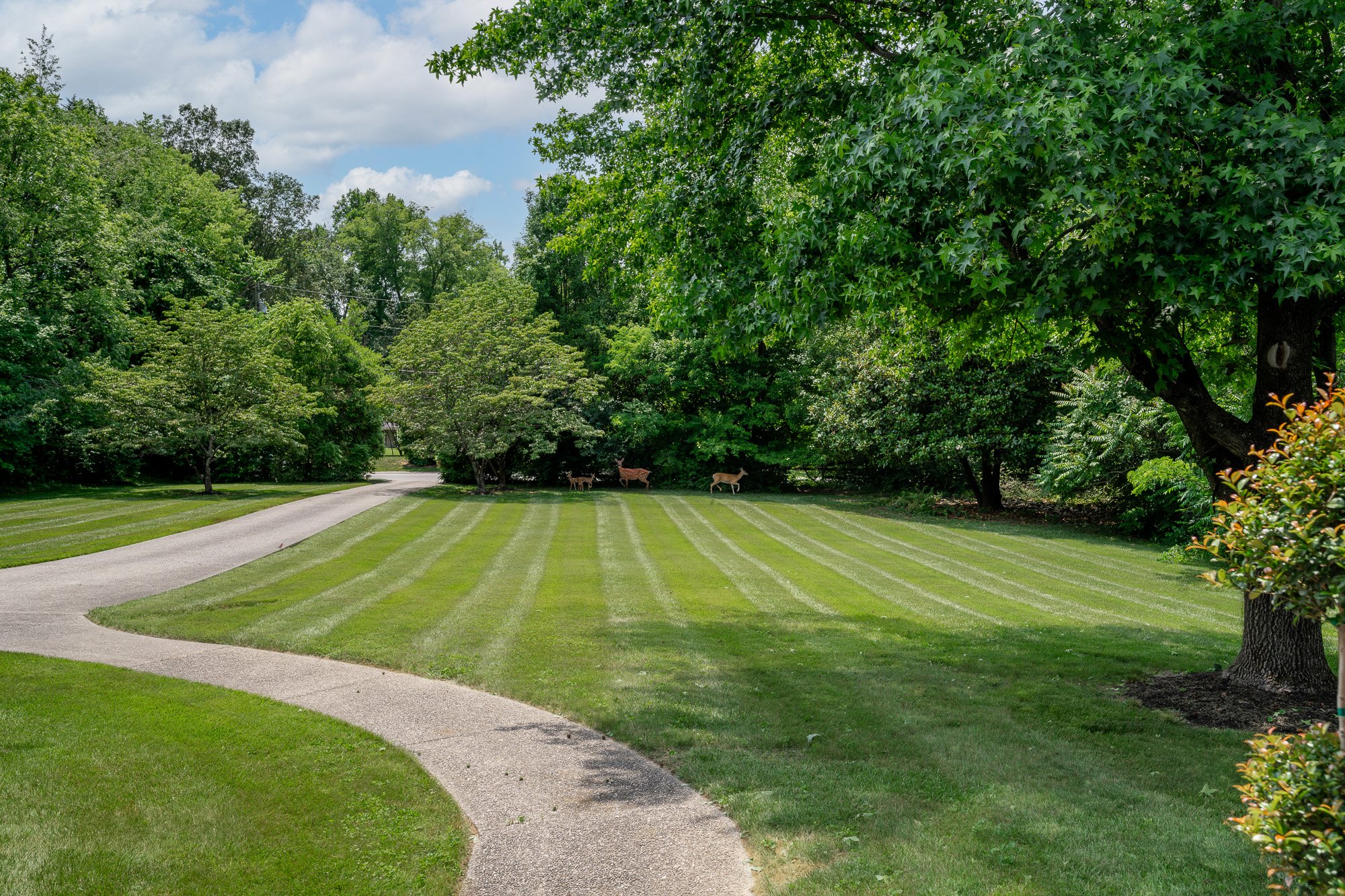 701 Evergreen Rd_webres-5.jpg