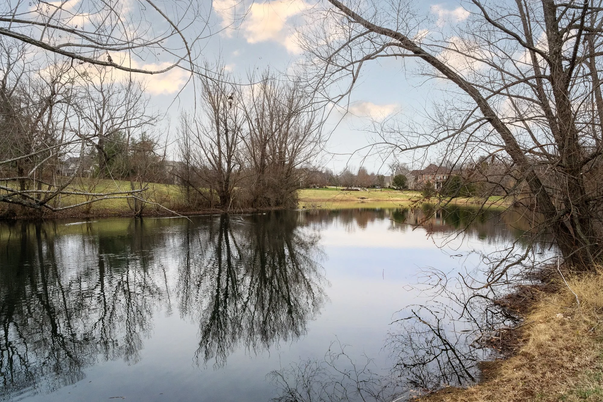 8222 Spring Glade Pl_web-90.jpg