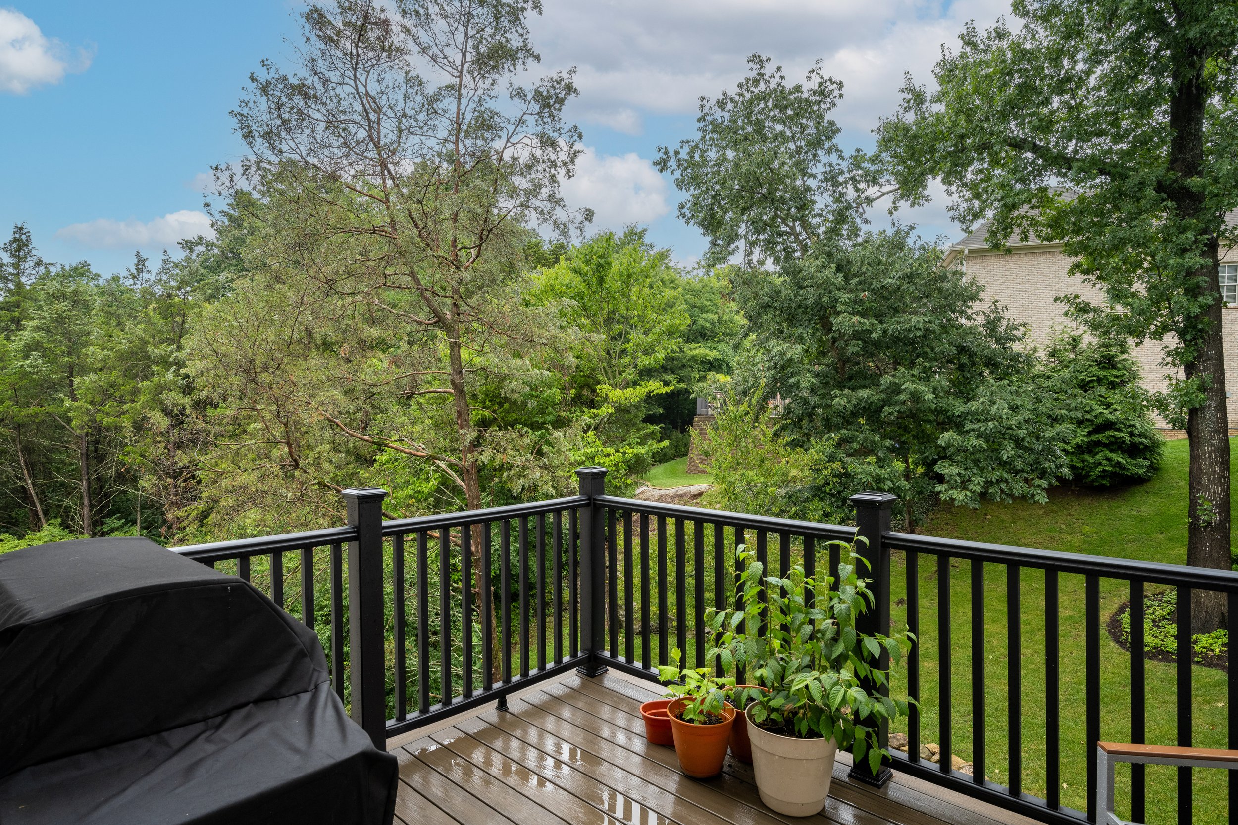 7504 Beechspring Farm Blvd_highres-61.jpg