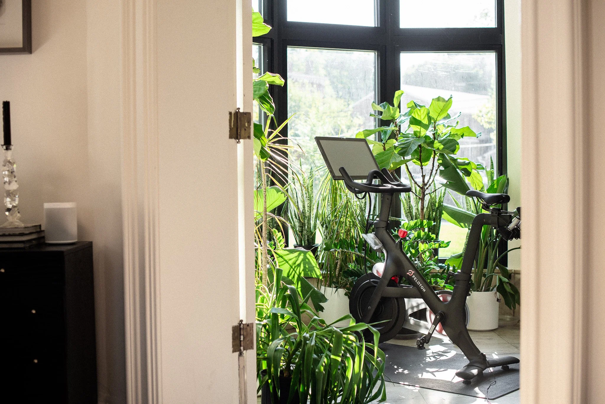 1348 S 3rd St_web-51.jpg