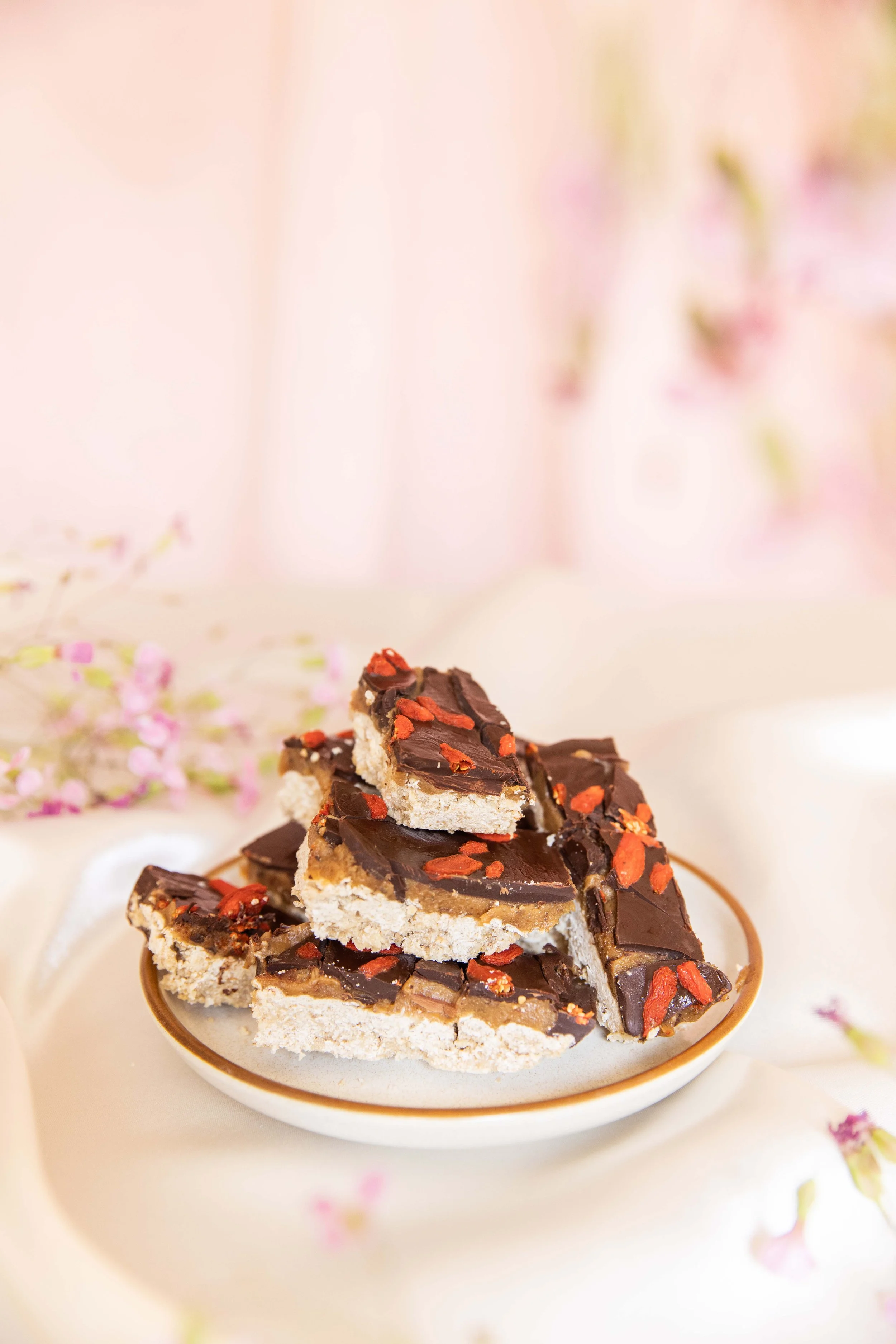 25.1 Salted Caramel Choco Coco Slices.jpg