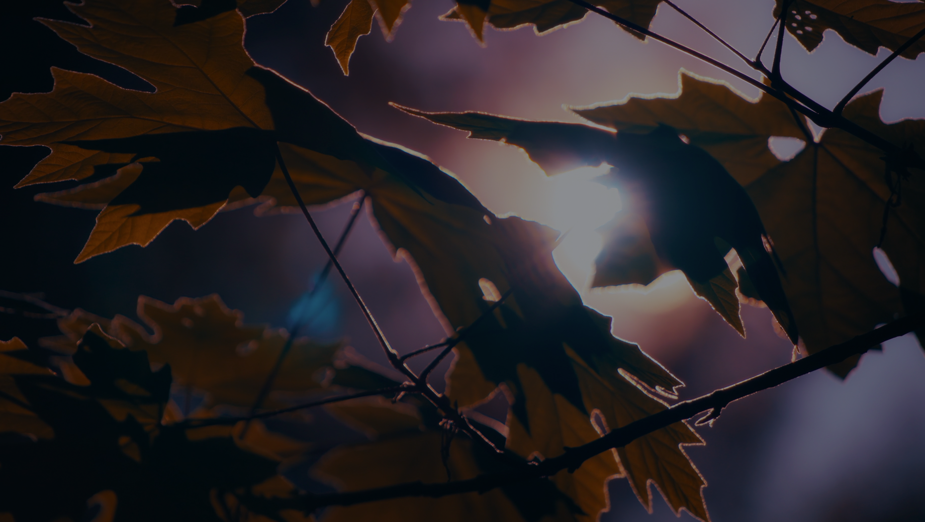 The Winds of Change