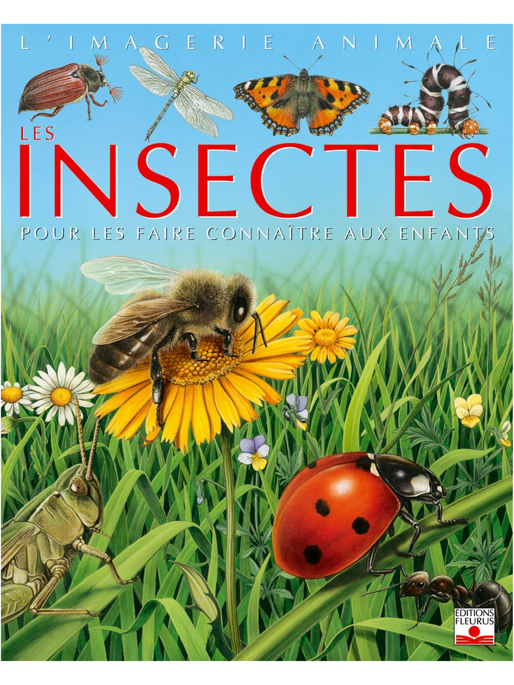 Les Insectes