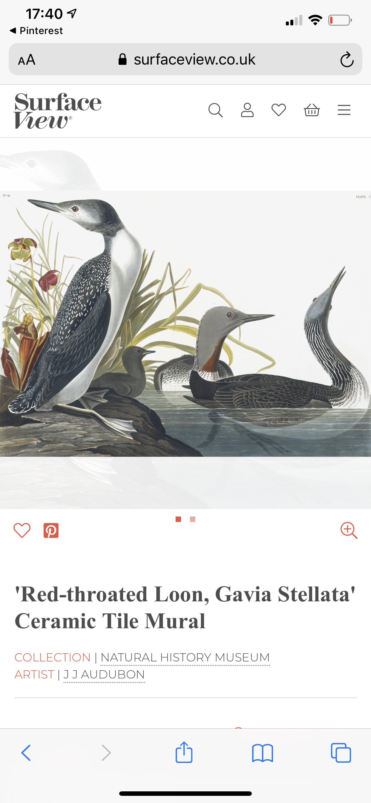 869A2432-FA02-403B-9A96-B201934EA197.png