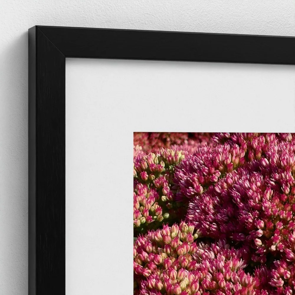 Séroule Bees - Framed Print - Mockup3.jpg (Copy)