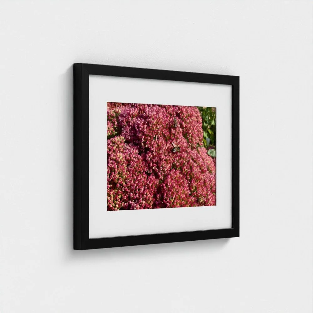 Séroule Bees - Framed Print - Mockup2.jpg (Copy)
