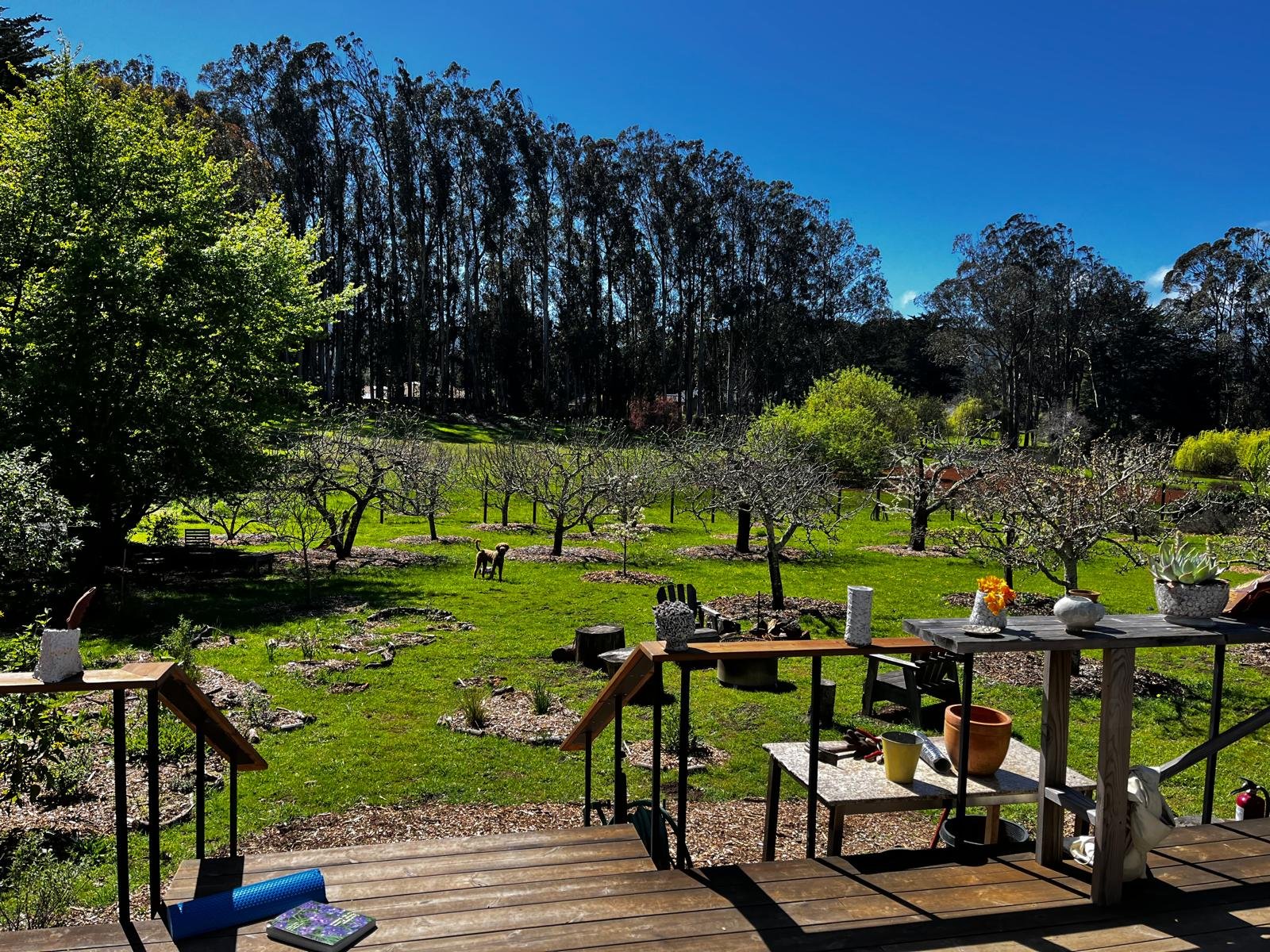 Healthy Mover’s Rendezvous in Natural Paradise