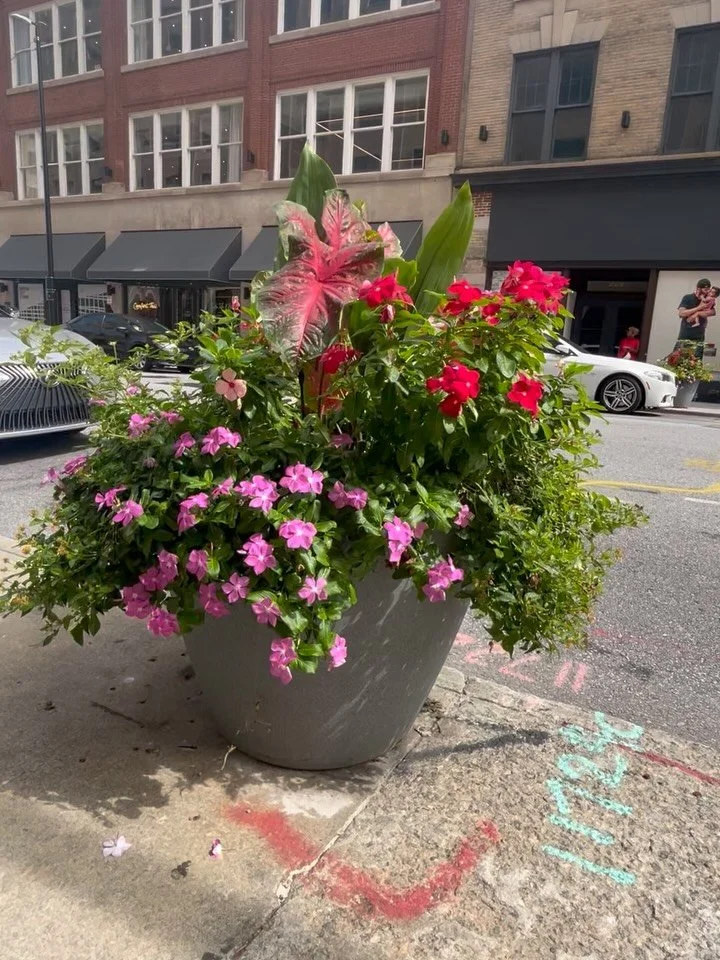 Have you seen SouthDowntown?  Join us for a free community walk&hellip;.
Come see one of the best collections of historic buildings in Atlanta and learn about the vibrant downtown neighborhood being restored today.

Thursday September 24 at 10:30 AM.