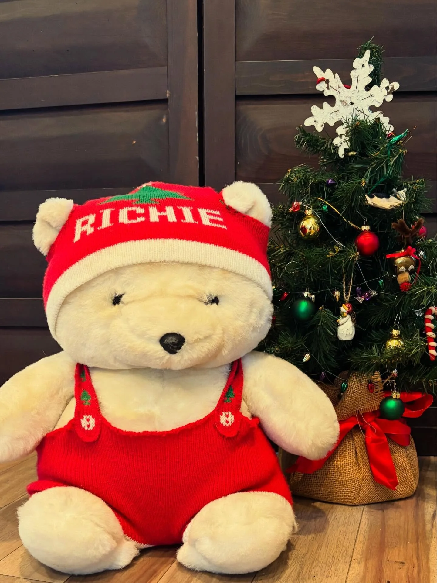 After 101 years the Rich&rsquo;s at 82 Peachtree is having a grand re-opening! Come explore the building  where Morris Rich&rsquo;s Dry Goods Store became the iconic  Rich&rsquo;s Department Store. On this hard hat tour we will talk about Rich&rsquo;