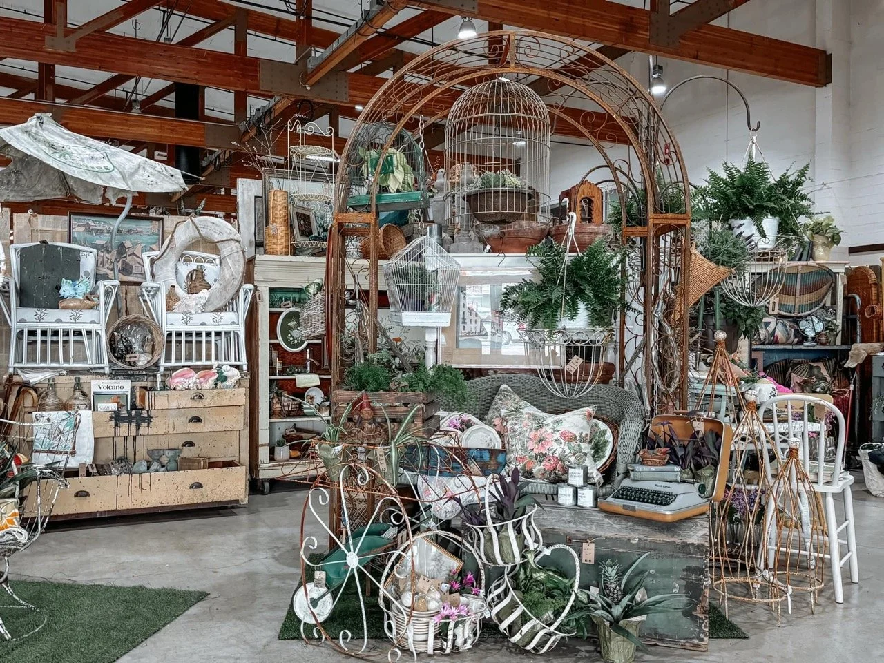 436346348_873613048131035_990051638777310585_n Large.jpeg