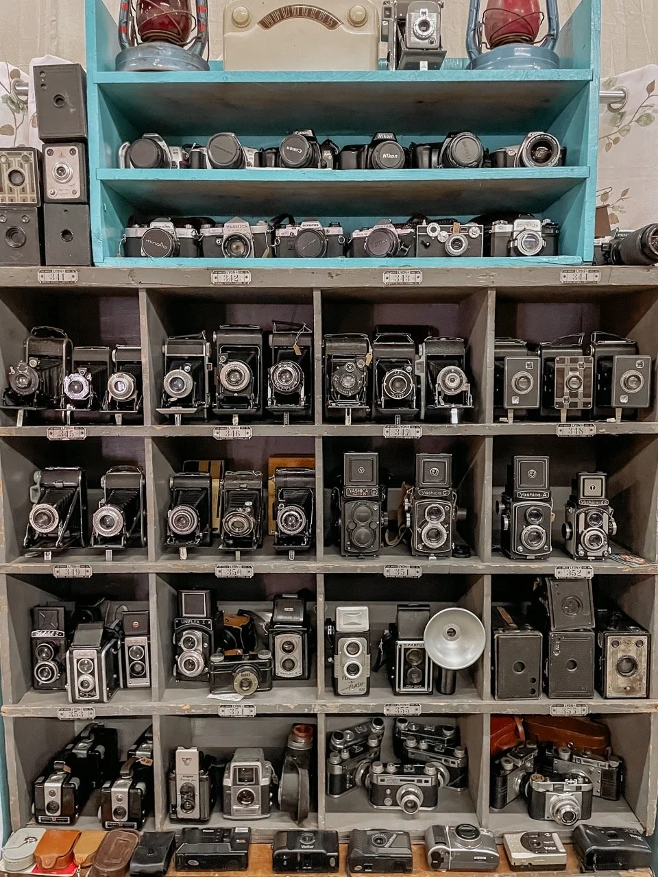 It’s Called The Great Junk Hunt… But Here’s the Story Behind It — THE ...