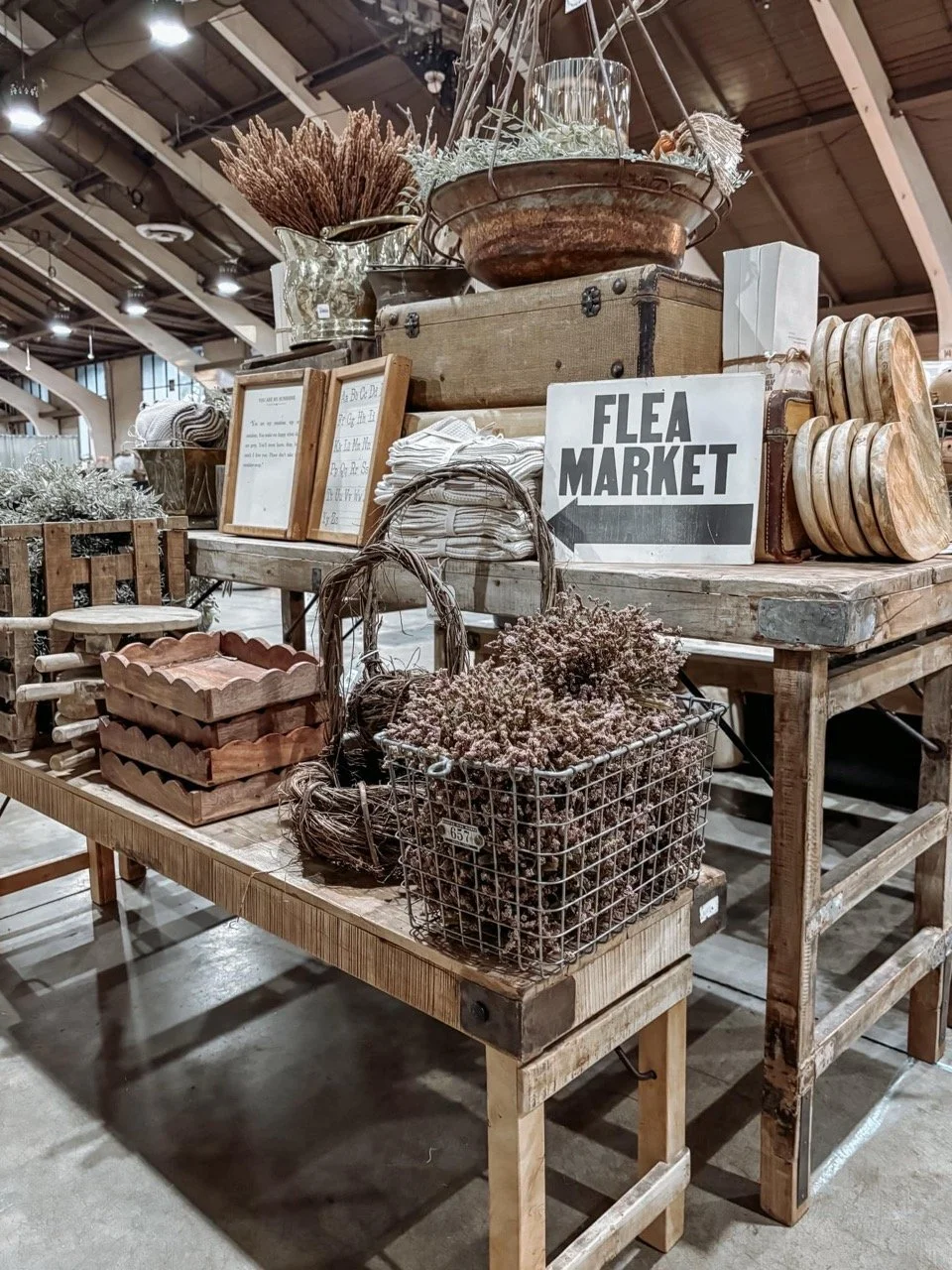 480733913_1105157091643295_6944907594572994501_n Large.jpeg