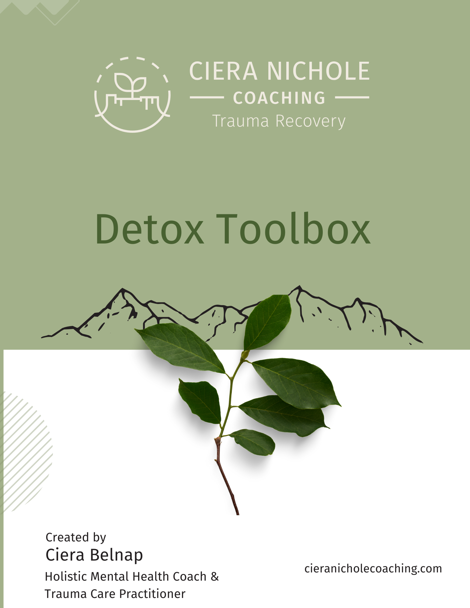 detox toolbox bonus.PNG