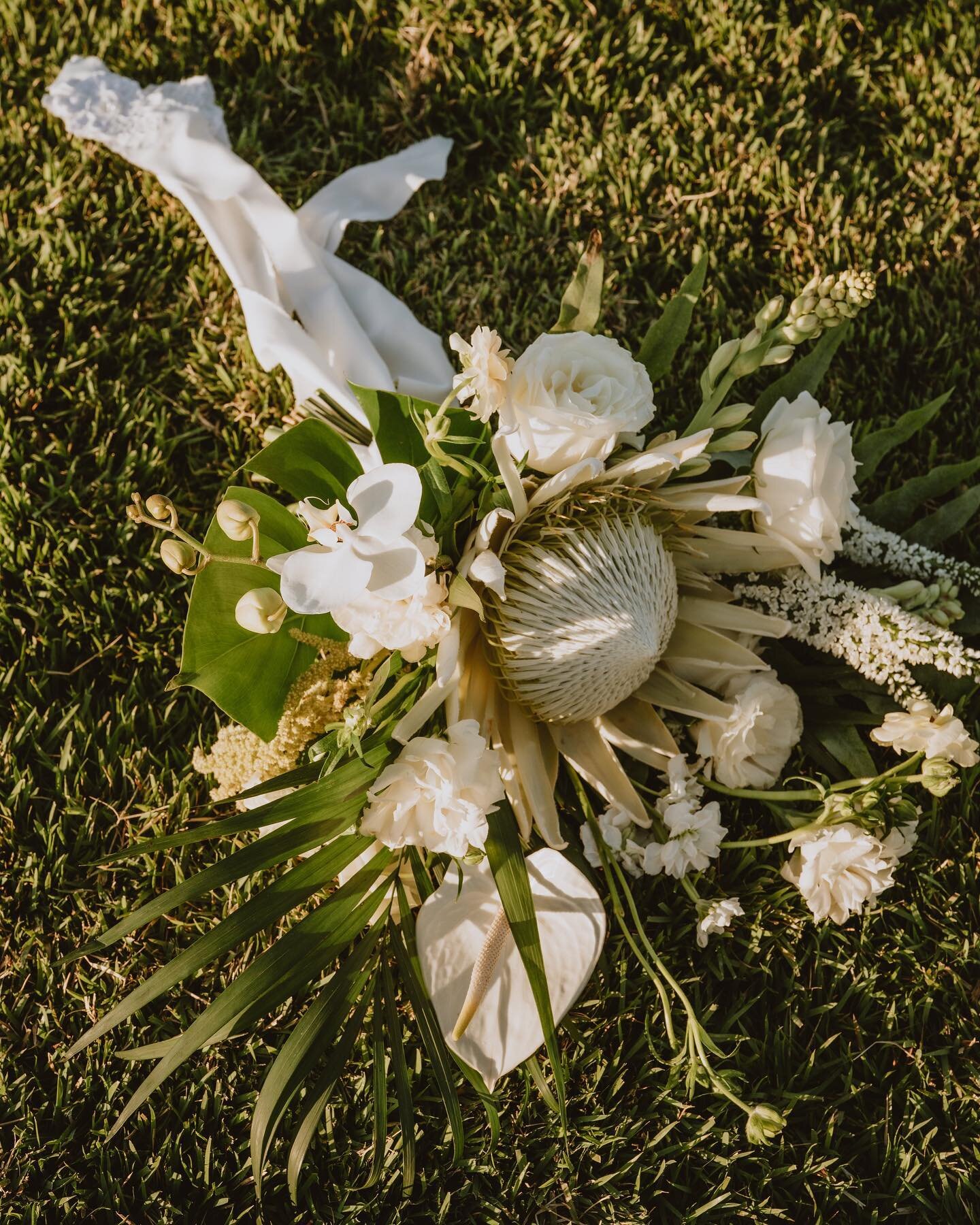 Another stunningly beautiful bouquet handmade by the lovely @flormimofloral !Such an amazing variation of textures in this classic white arrangement. We are in love! 🤍

.

Photographer: @fulleredgestudio
Planner: @sunset-soiree
Florals: @flormimoflo