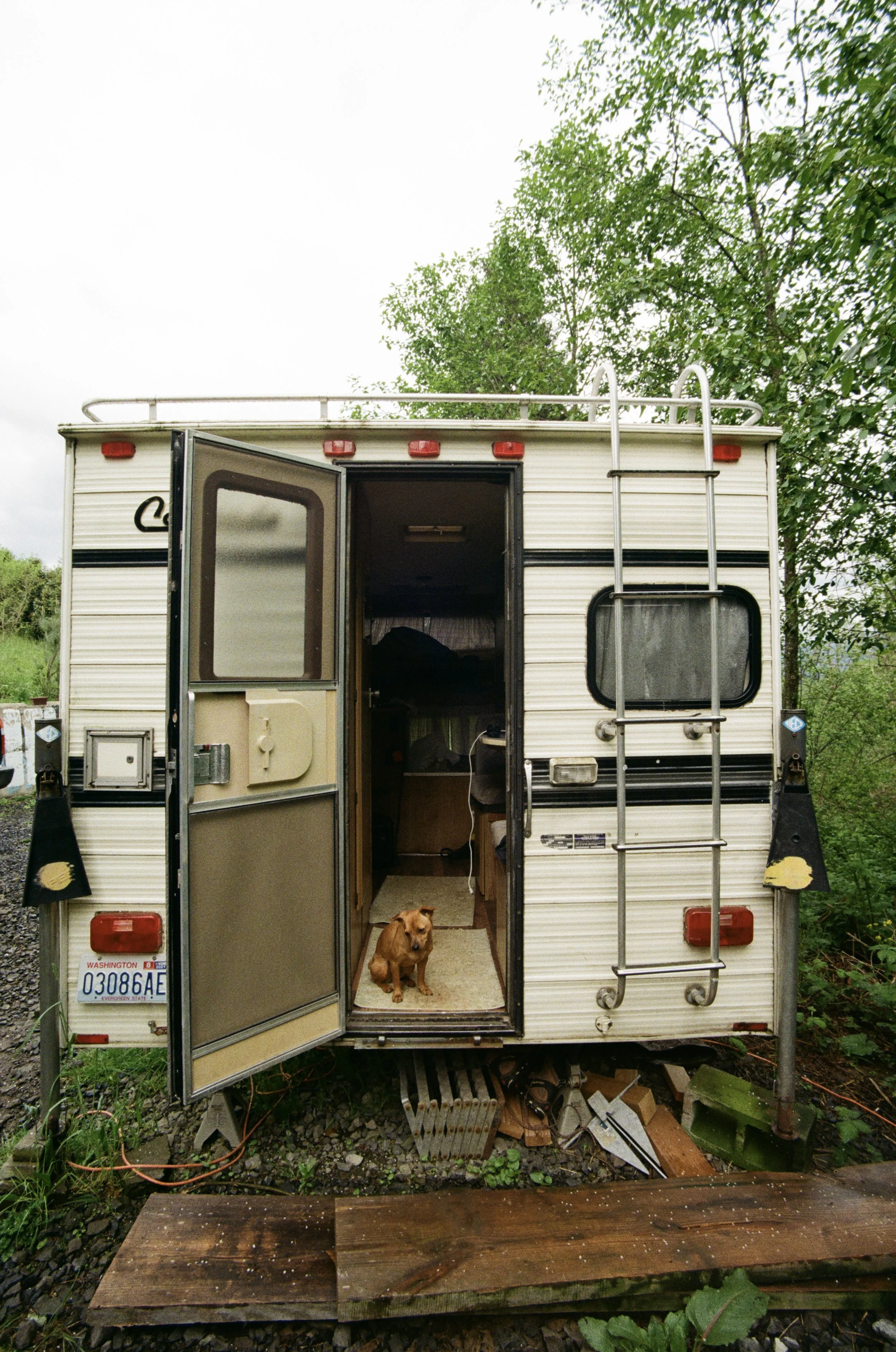000258490004.jpg