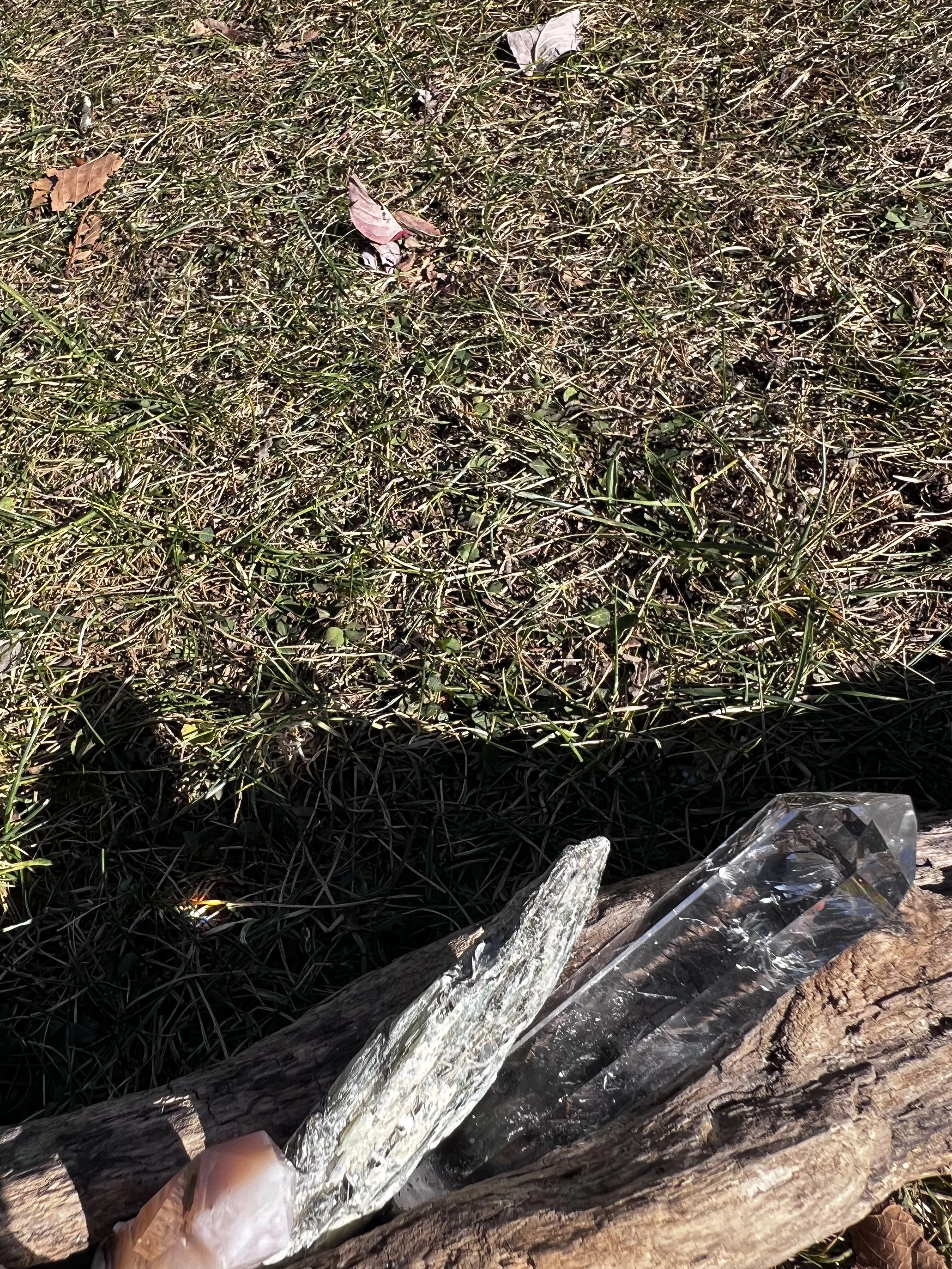 IMG_1395.jpeg