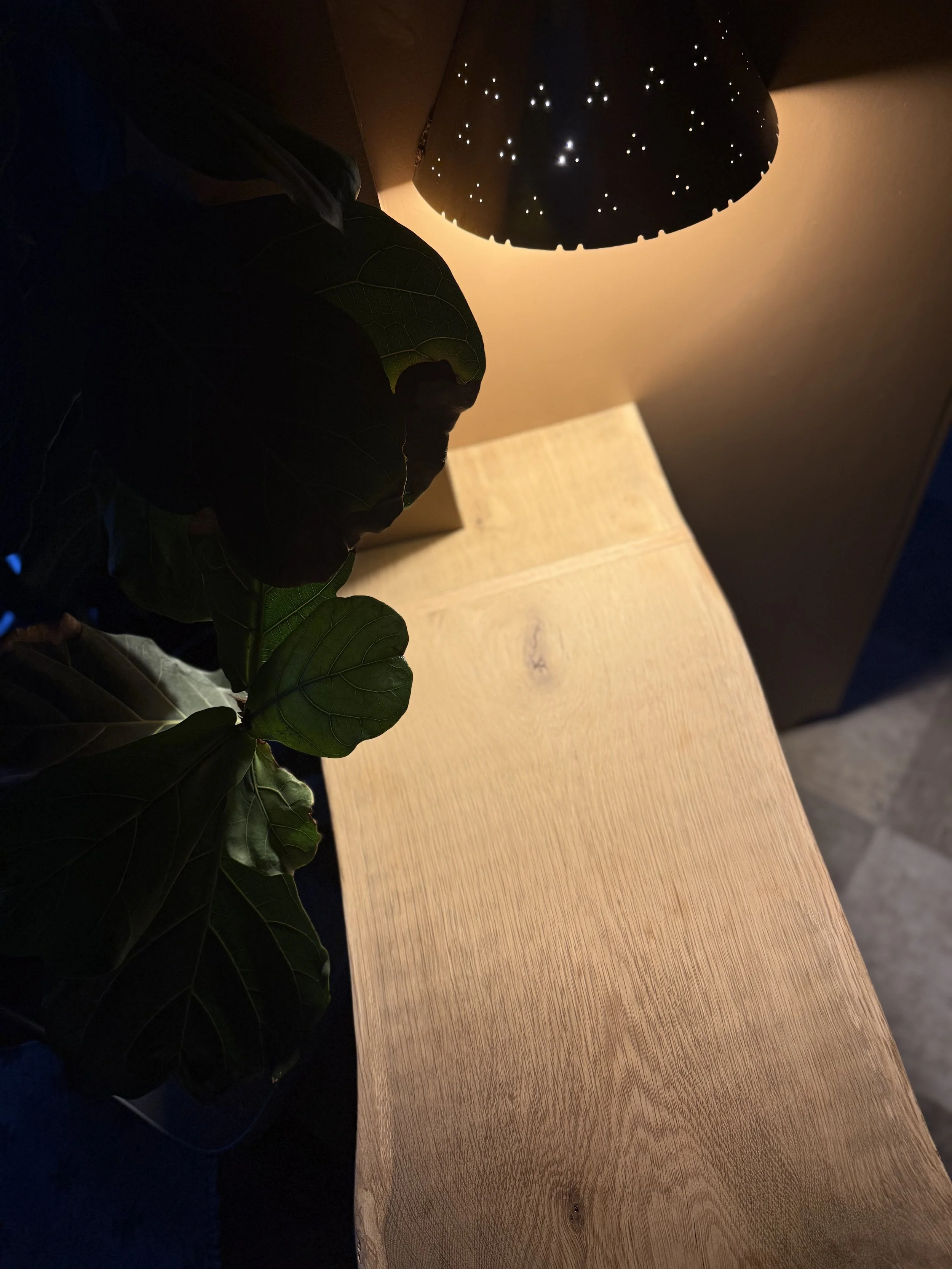 Live edge inlay counter top with perforated vintage metal light and fig tree.