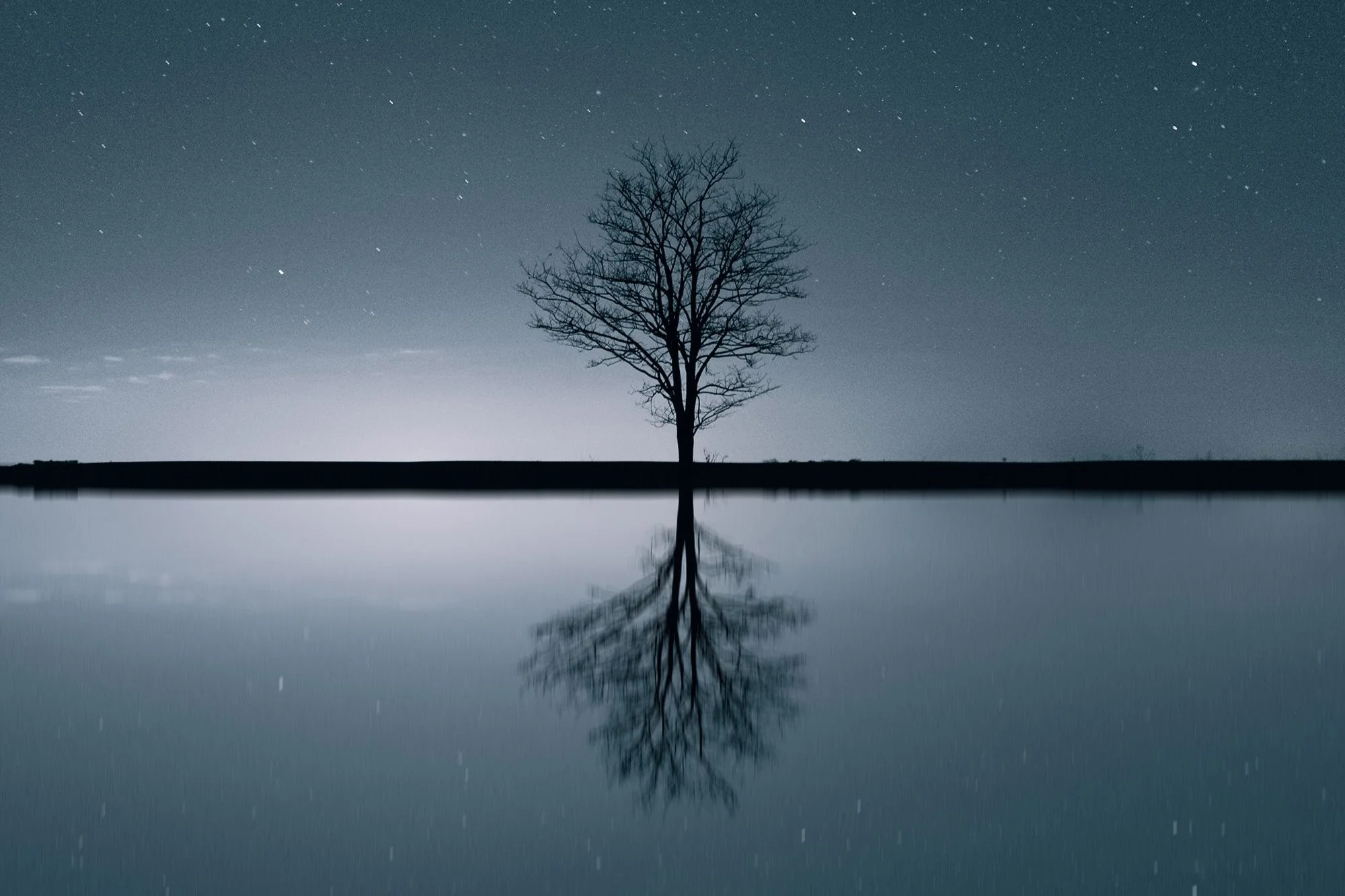 Eternal Life