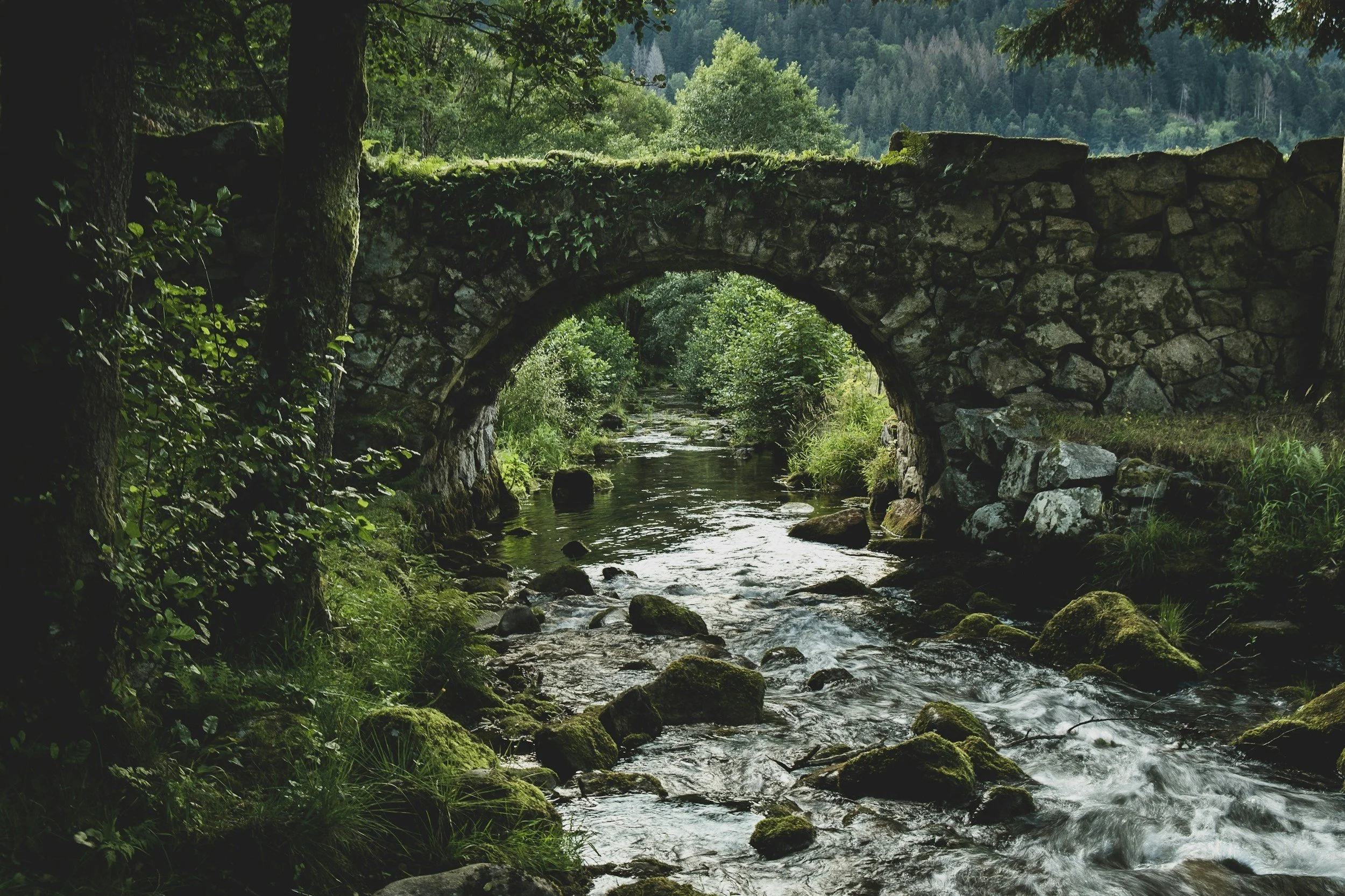 Forgotten Bridge