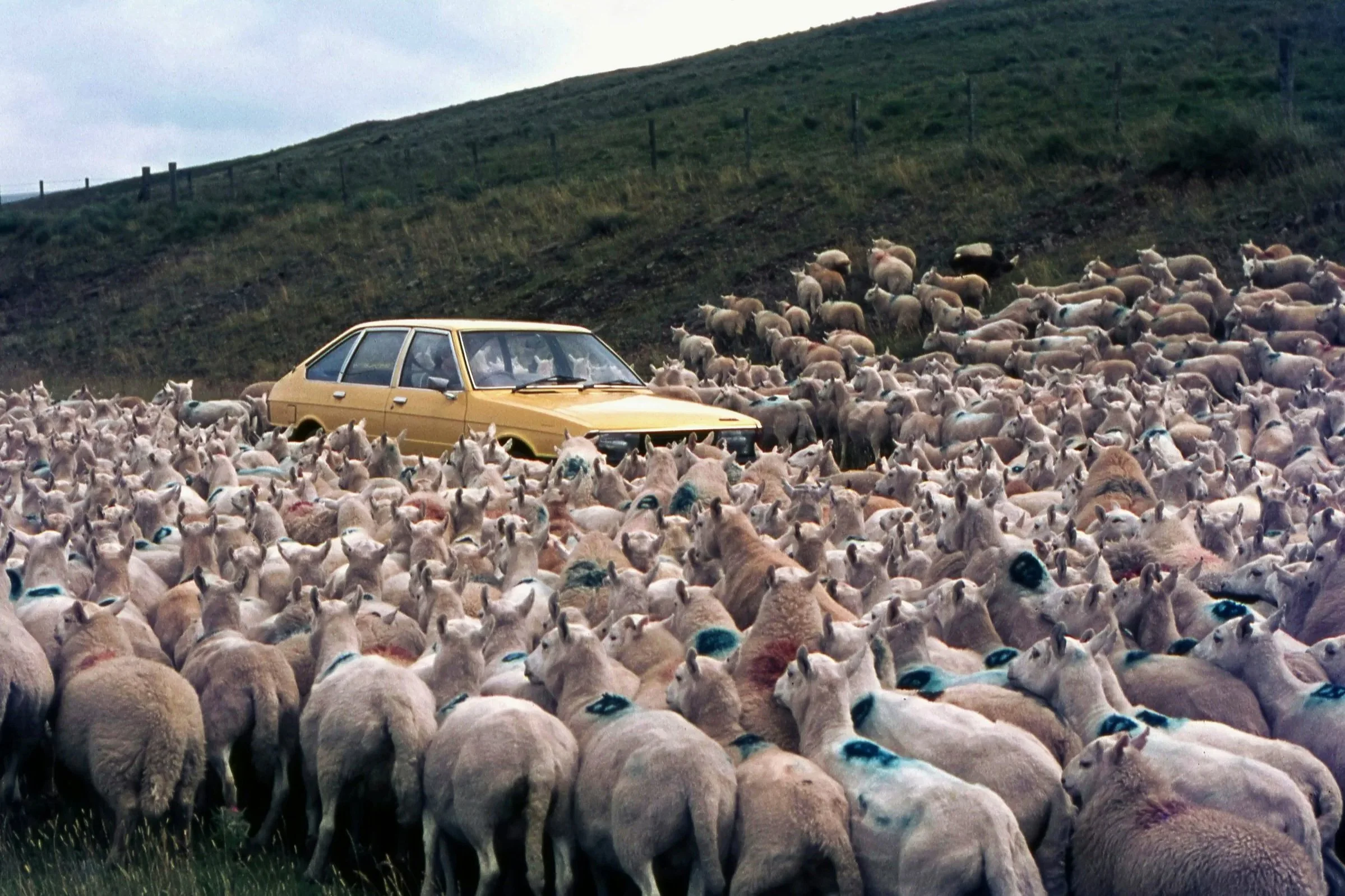 Too Much Too Much Too Much