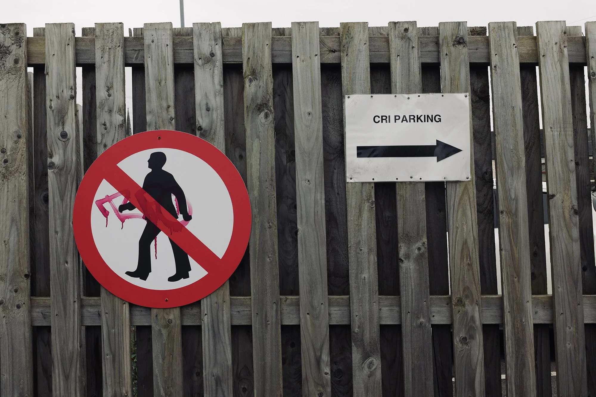 SPLOTT_ADAMSDOWN GV 1.jpg