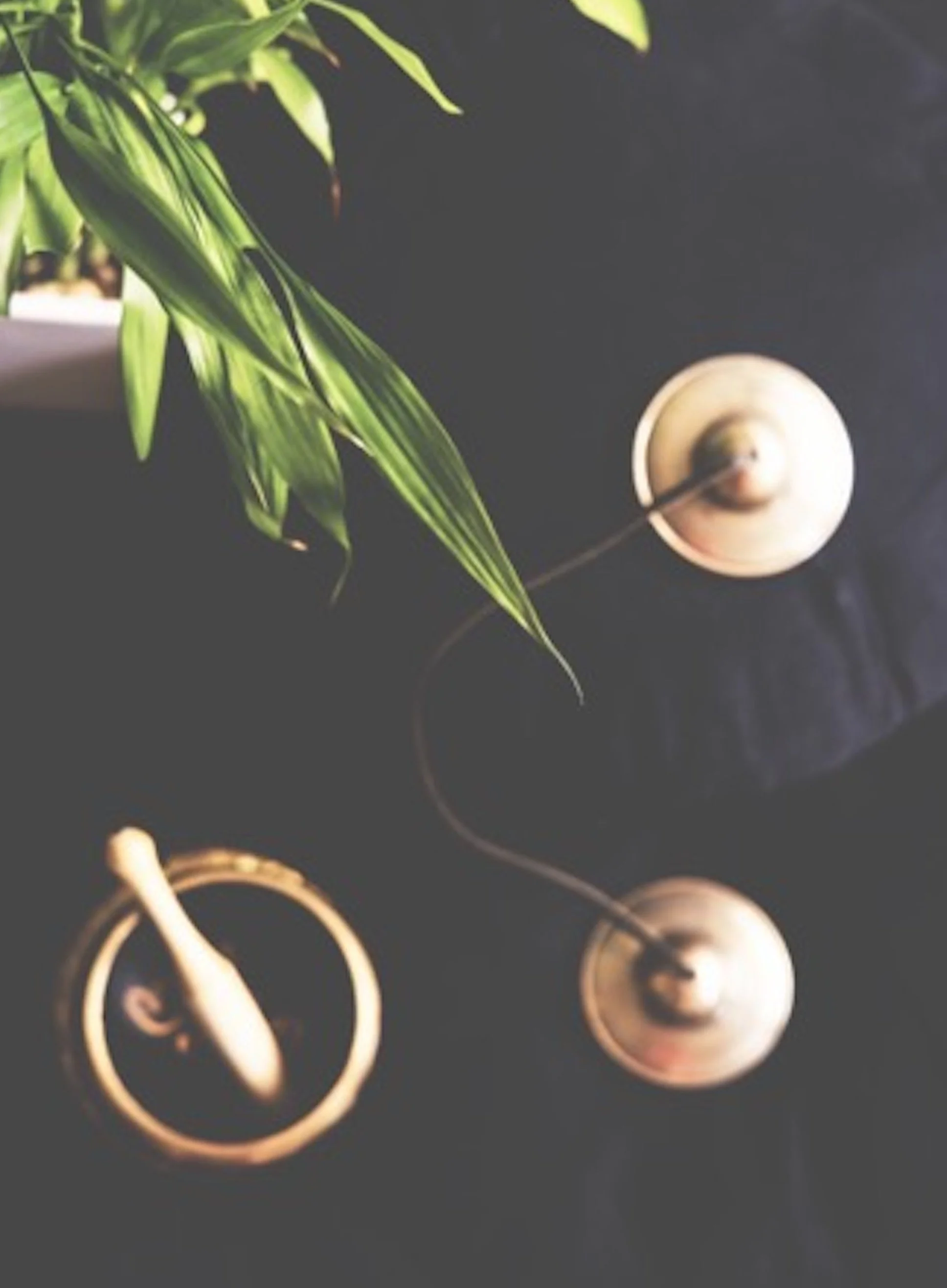 mindful habits for wellbeing