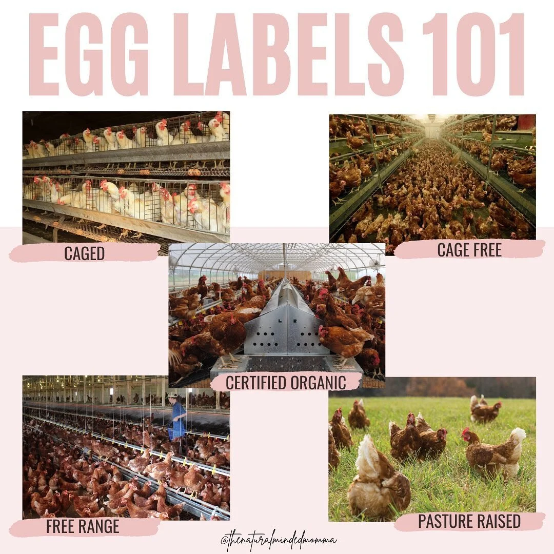 Services — The Natural Minded Momma