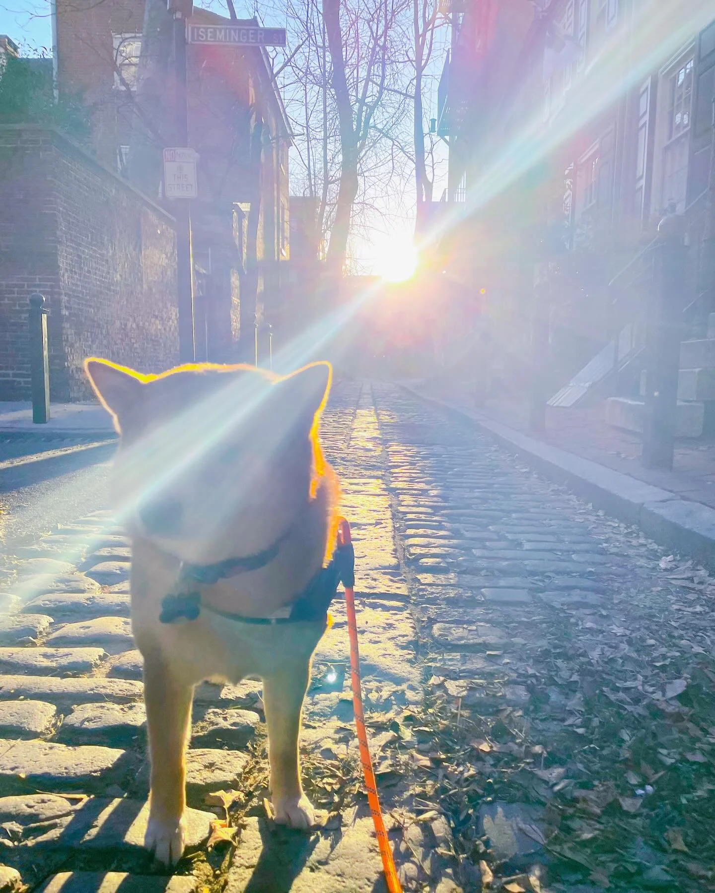 7am ☀️